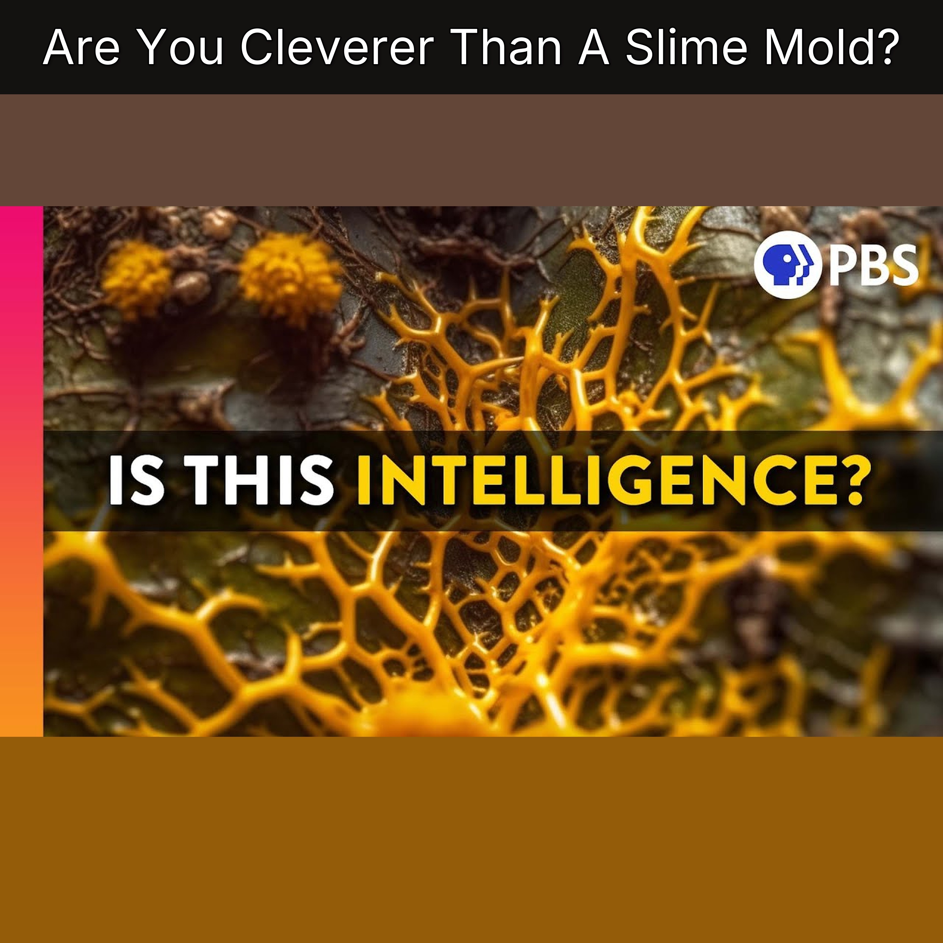 Are You Cleverer Than A Slime Mold? episode artwork