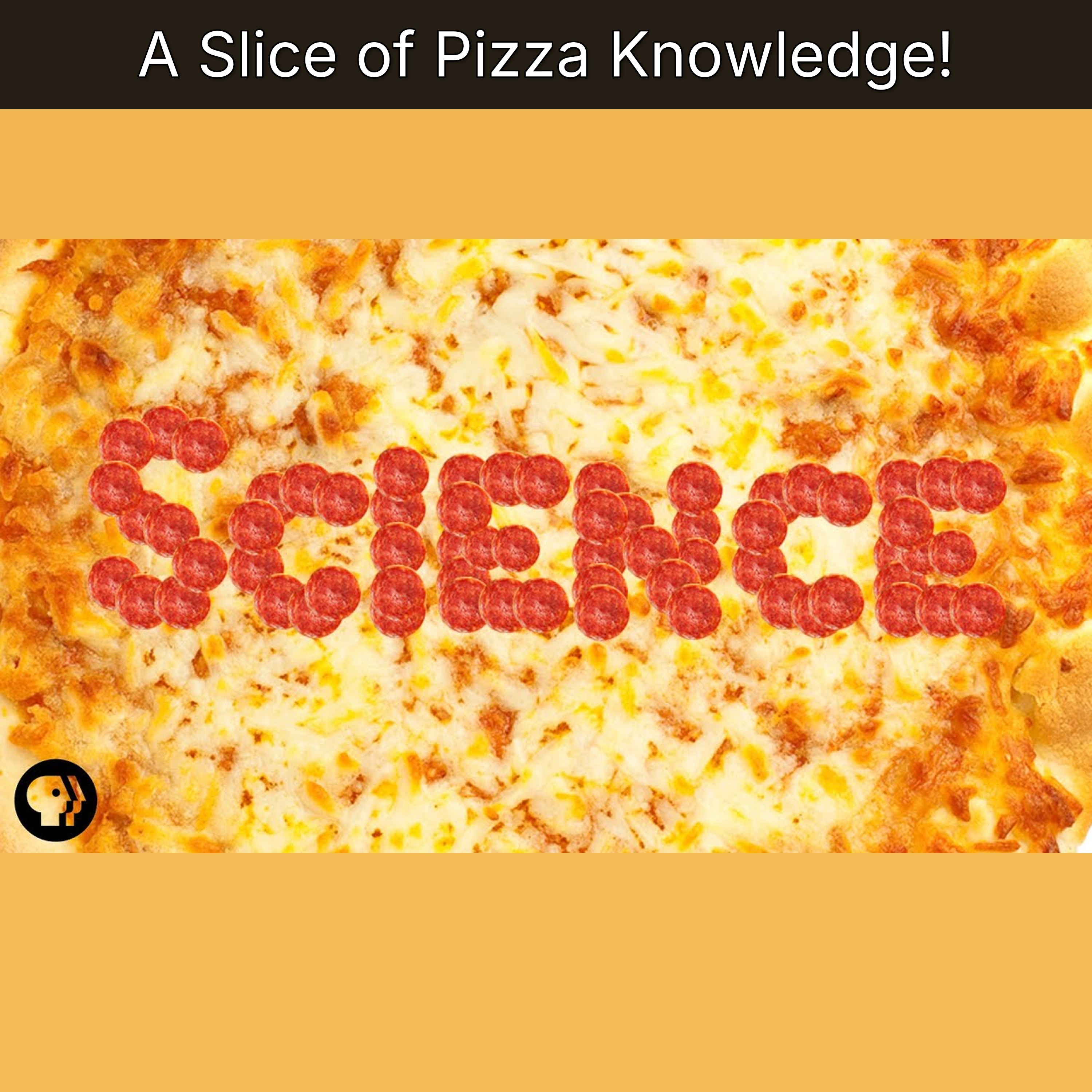 A Slice of Pizza Knowledge! episode artwork