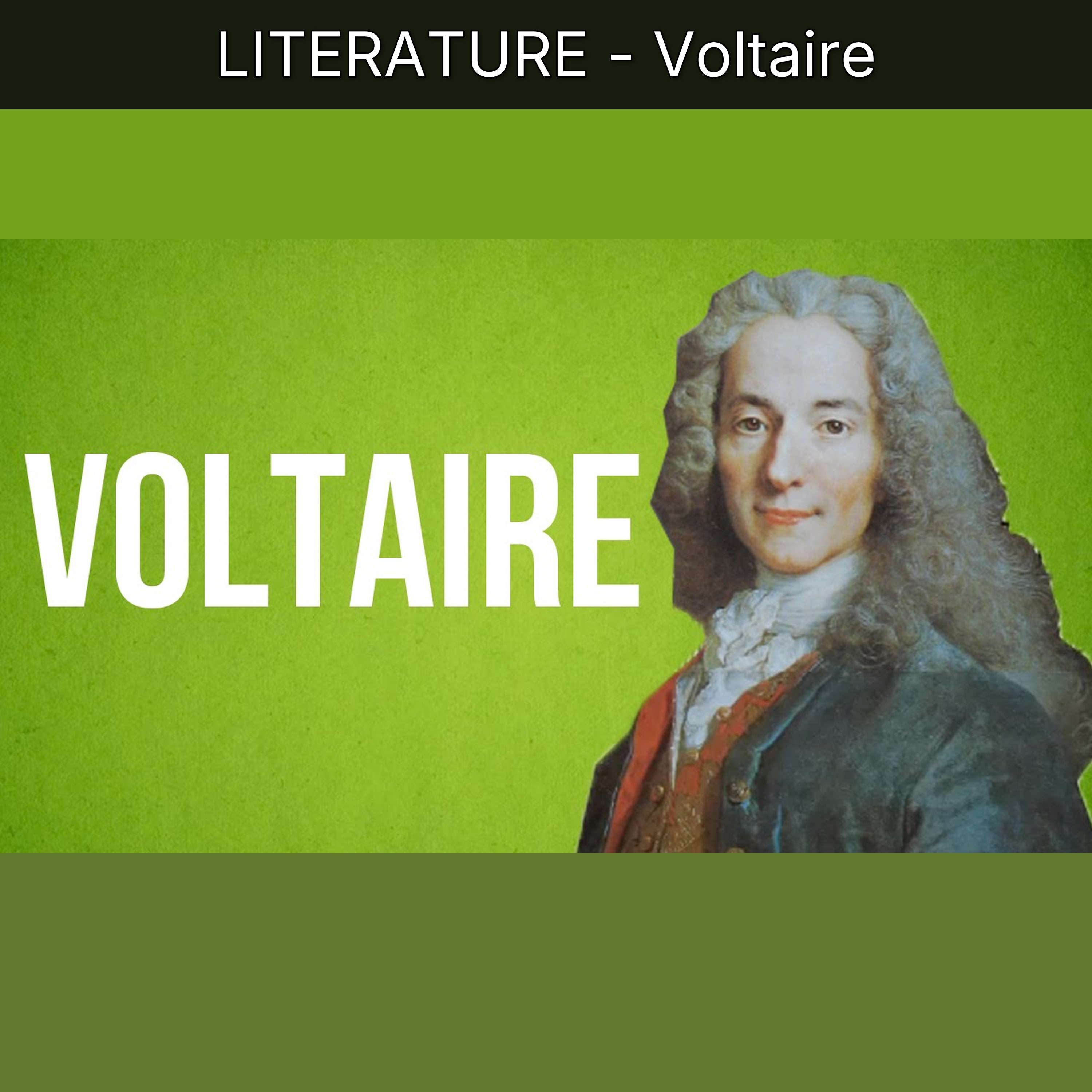 LITERATURE - Voltaire