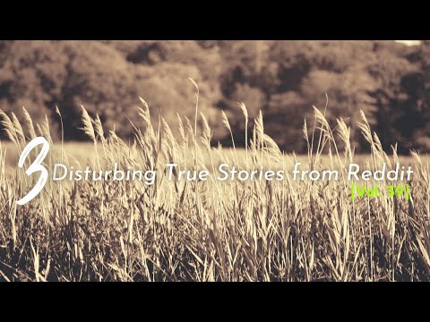Vol. 39: Disturbing True Stories from Reddit episode artwork