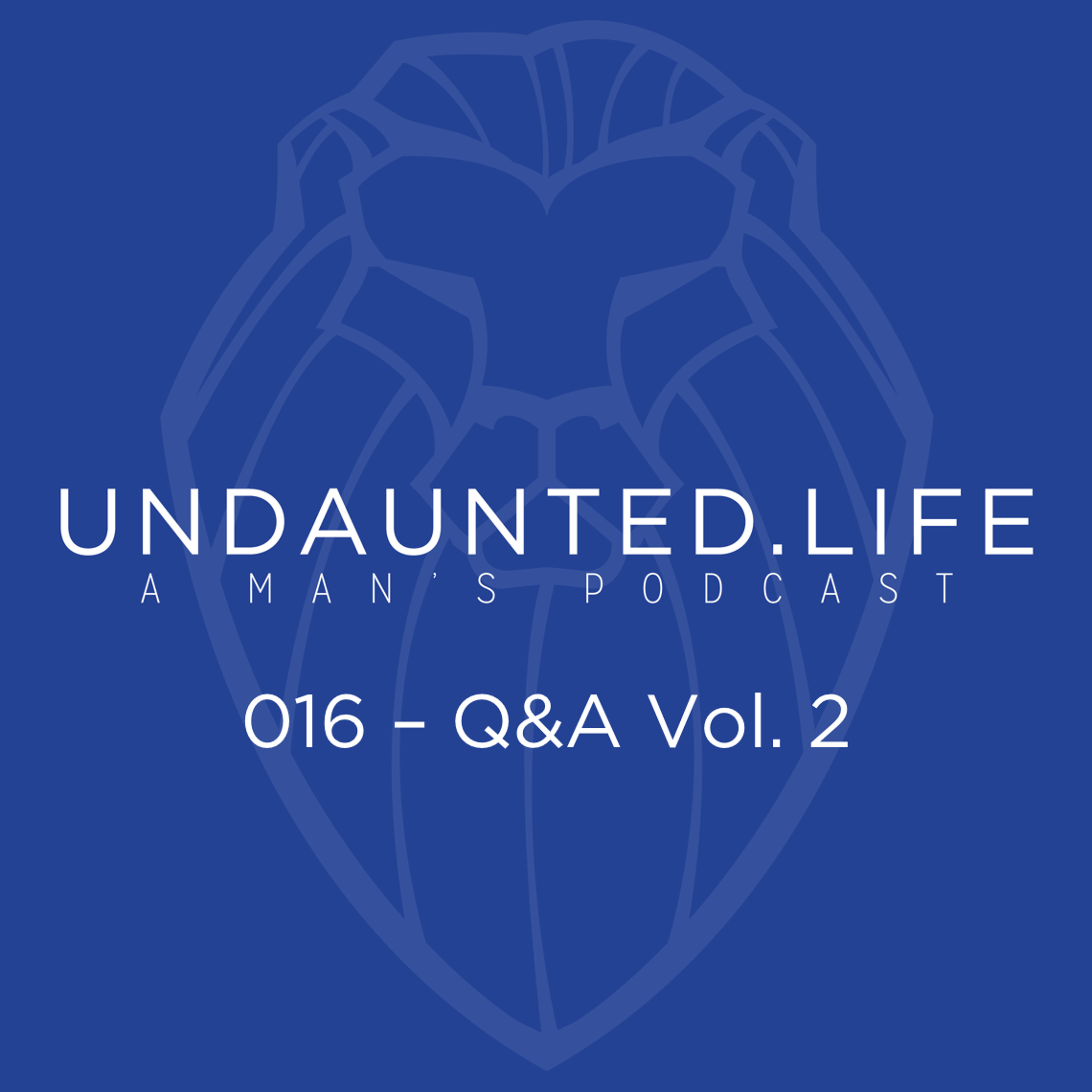 016 - Q&A Vol. 2