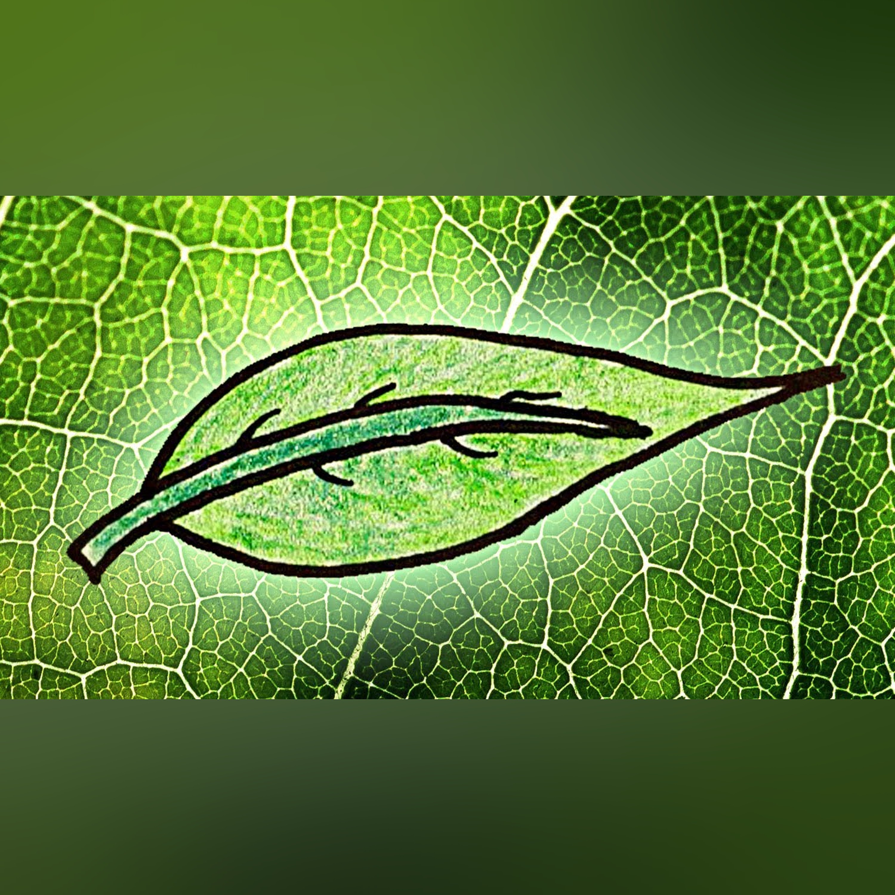 Why Are Leaves Green? Part 1
