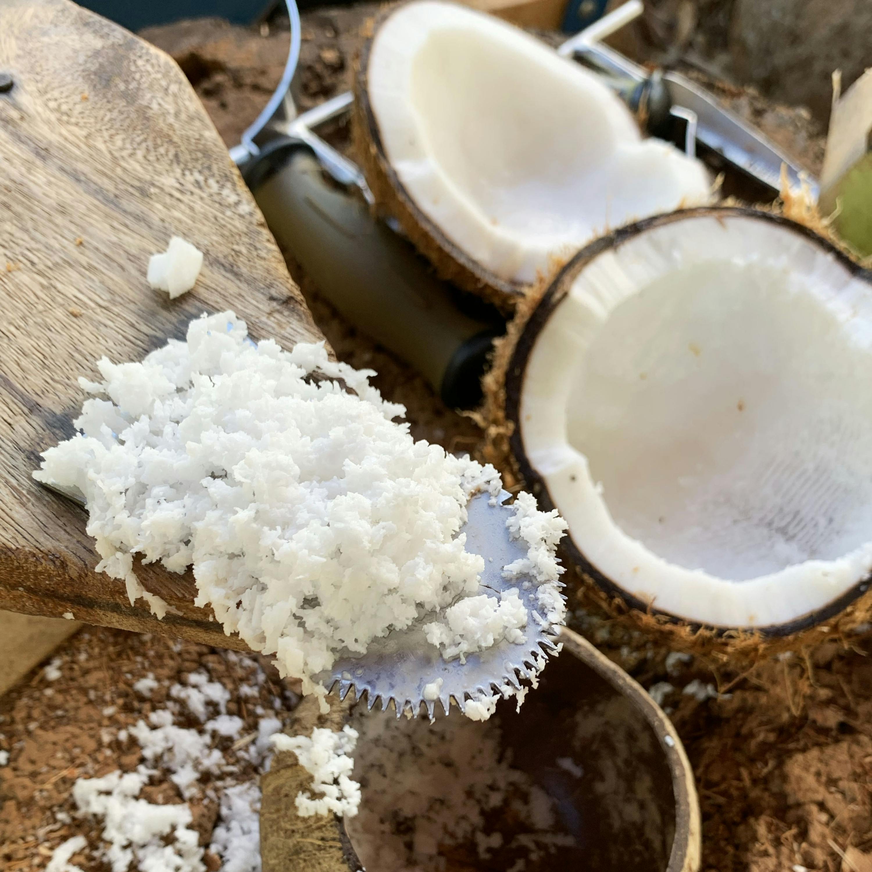 Trouble in Paradise: Coconut War Waters and Coconut Oil Controversies