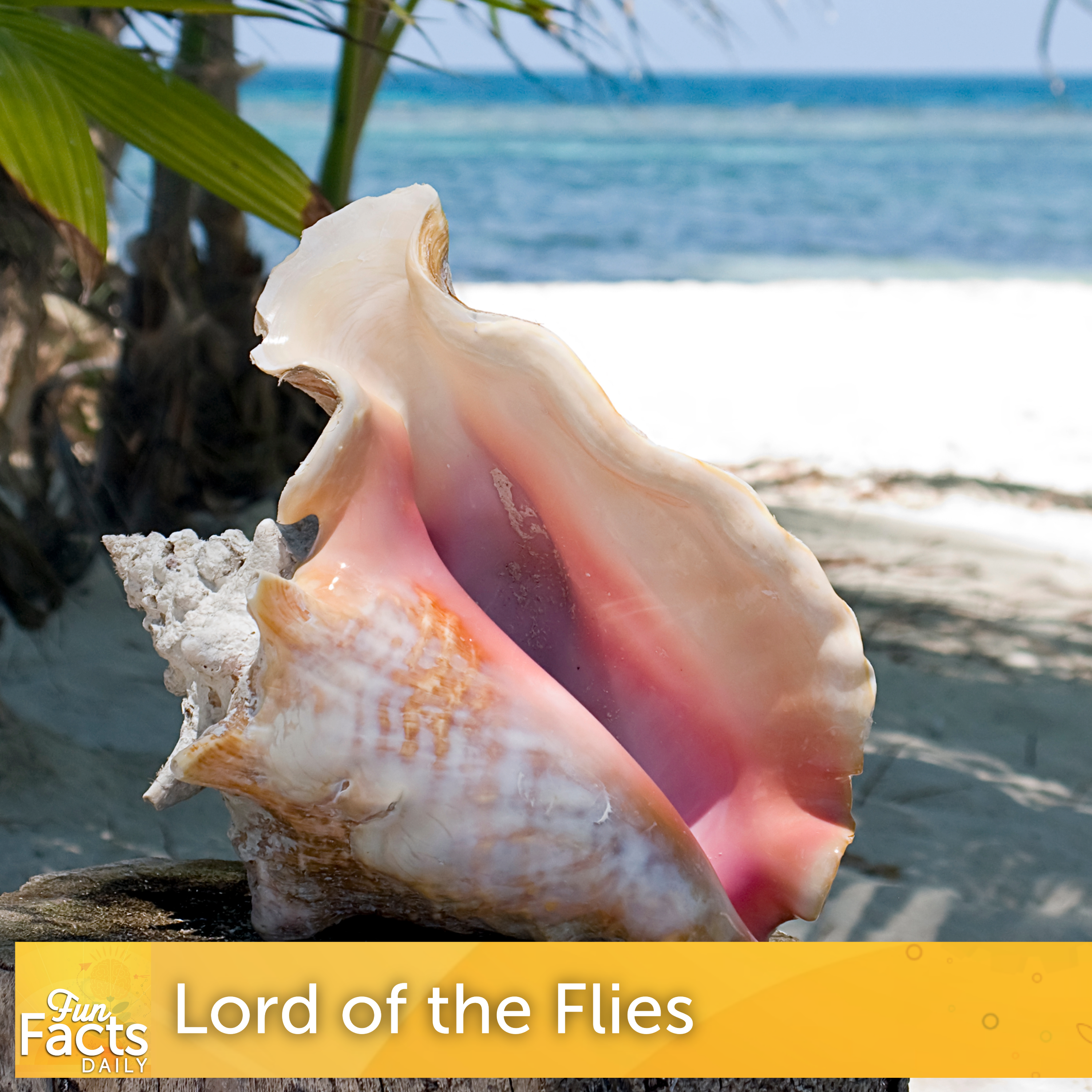 Fun Facts About Lord of the Flies