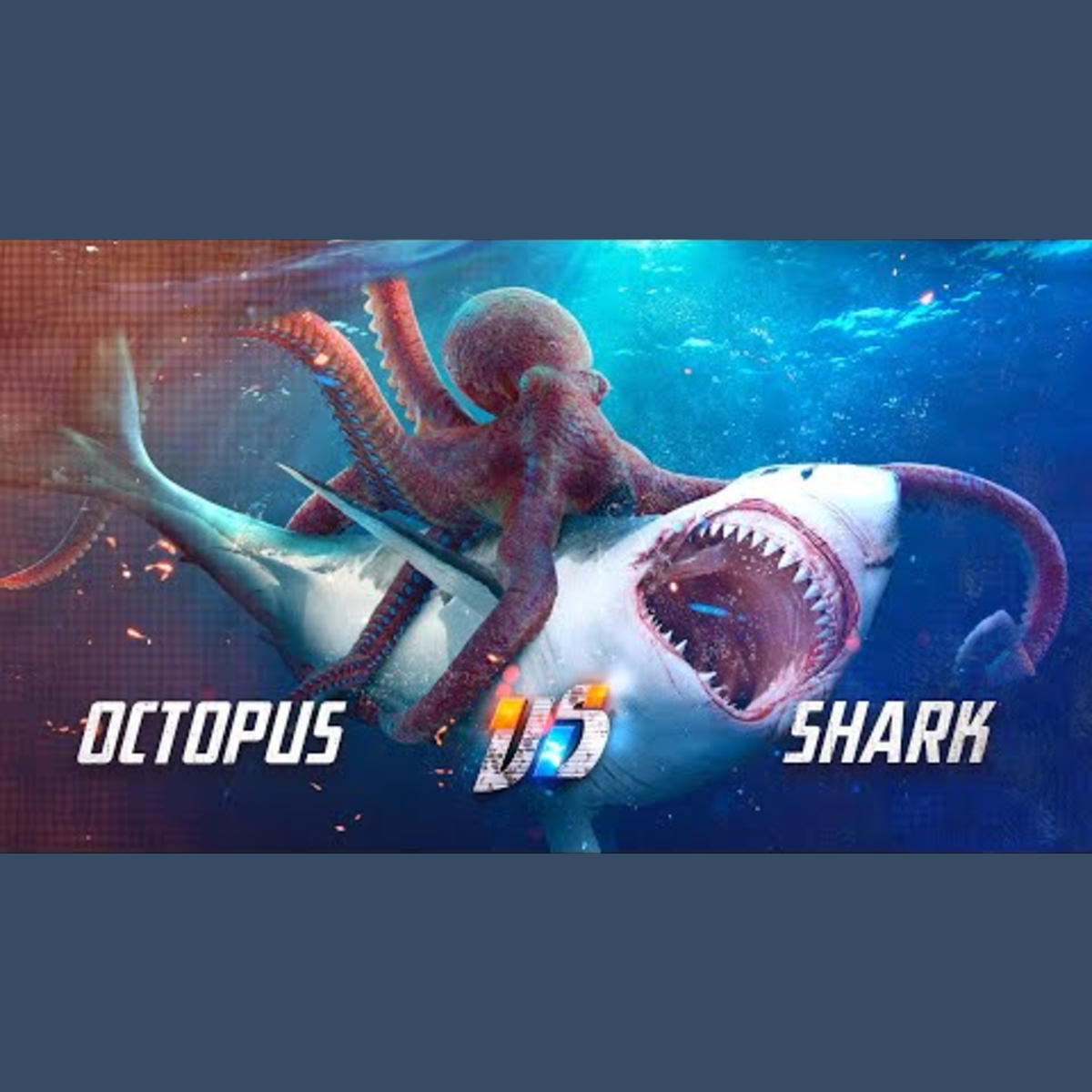 Shark vs. Octopus episode artwork