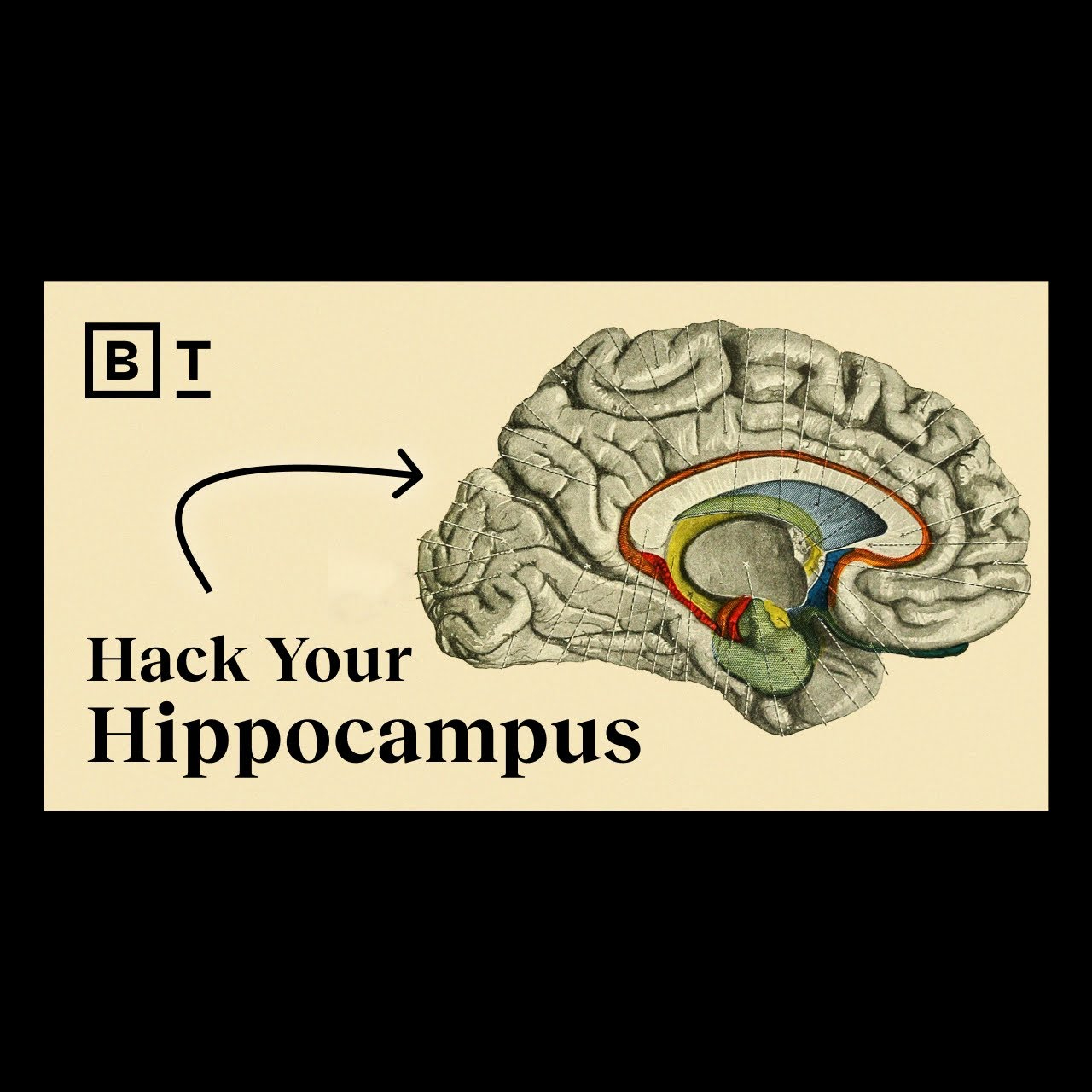 Strengthen Your Mind: 9 Scientifically Proven Tactics by Lisa Genova | BIGTHINK