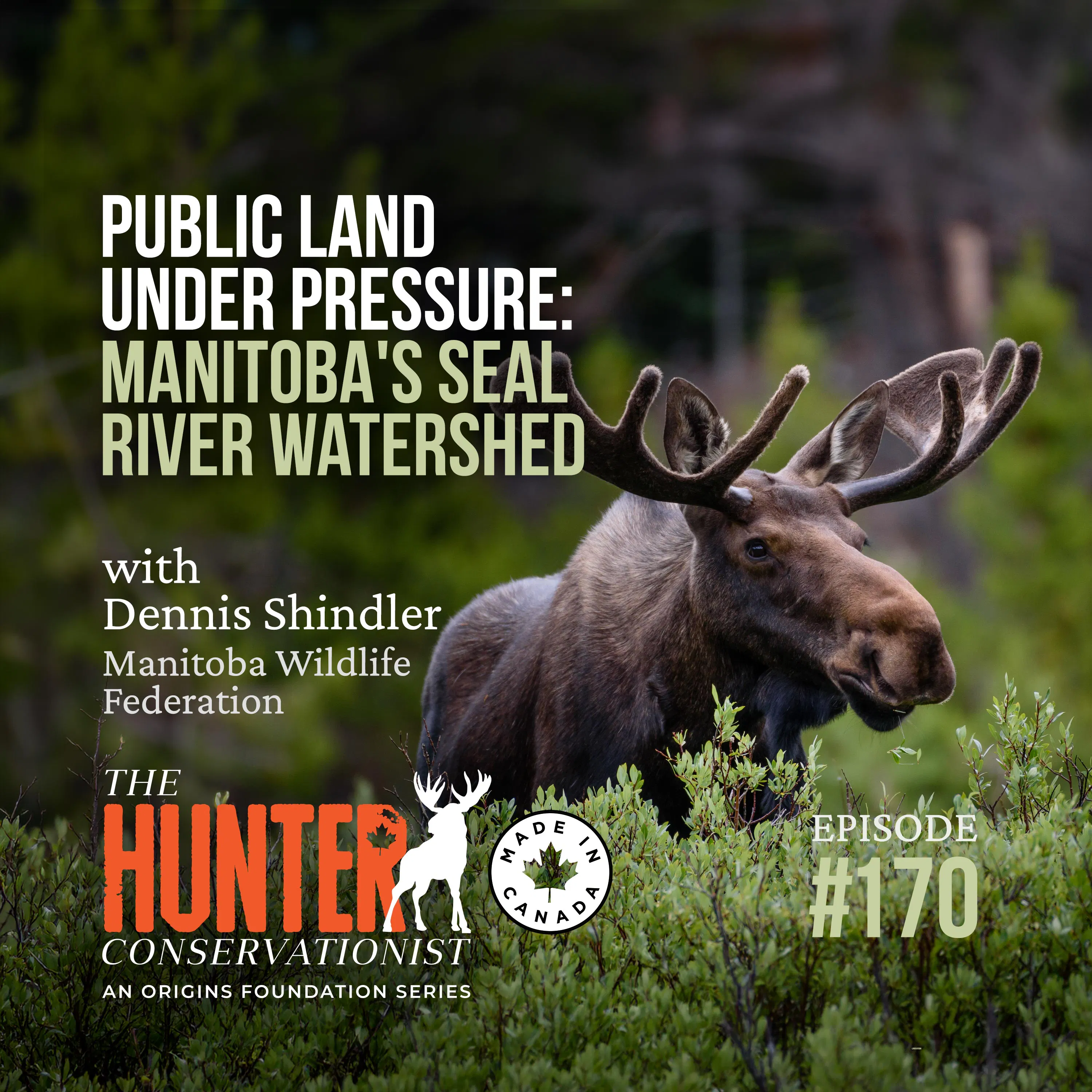 Public Land Under Pressure: Manitoba's Seal River Watershed || HC Podcast || Ep. 170 episode artwork
