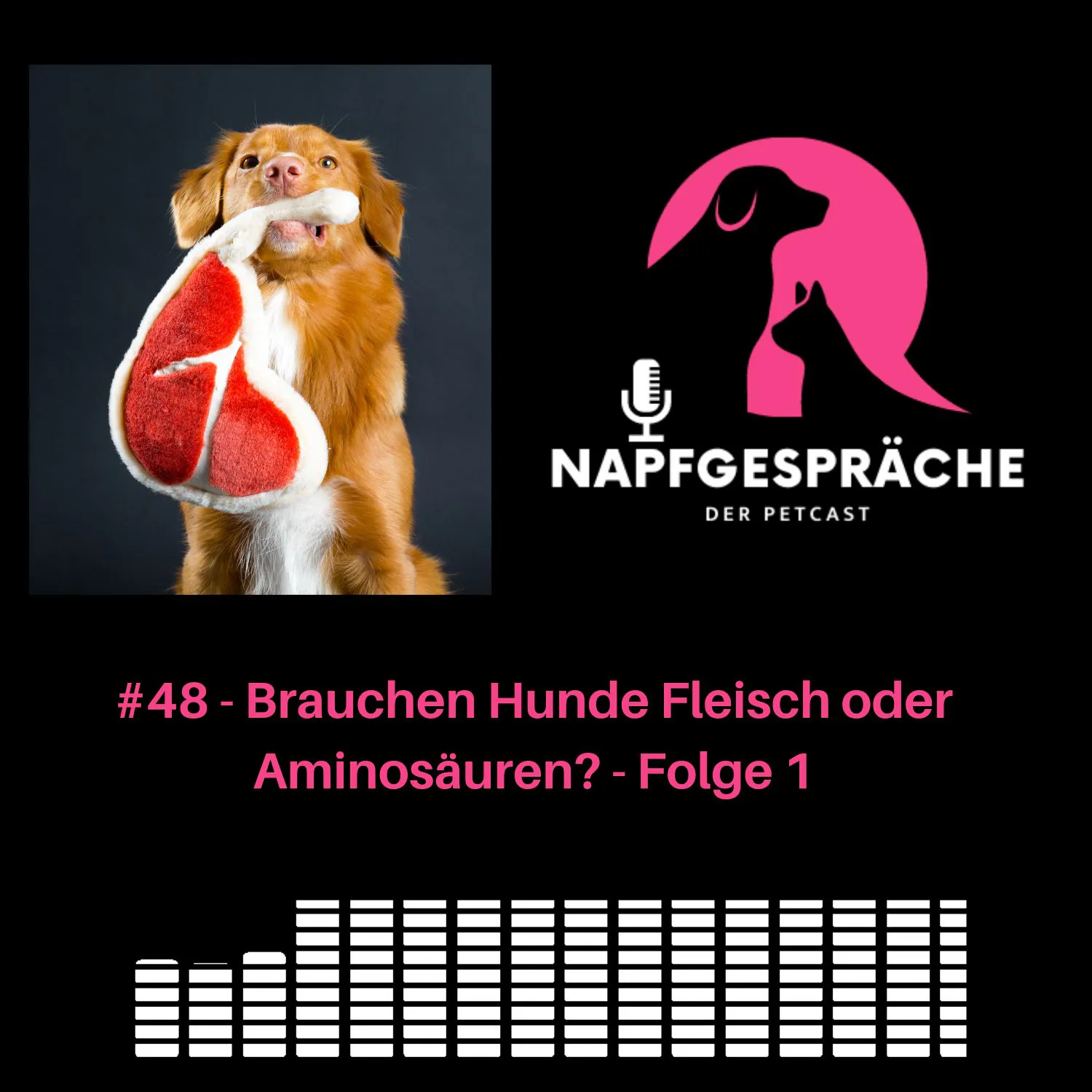 #48 - Braucht ein Hund Fleisch oder Aminosäuren? Folge 1 von 6 #48 - Braucht ein Hund Fleisch oder Aminosäuren? Folge 1 von 6