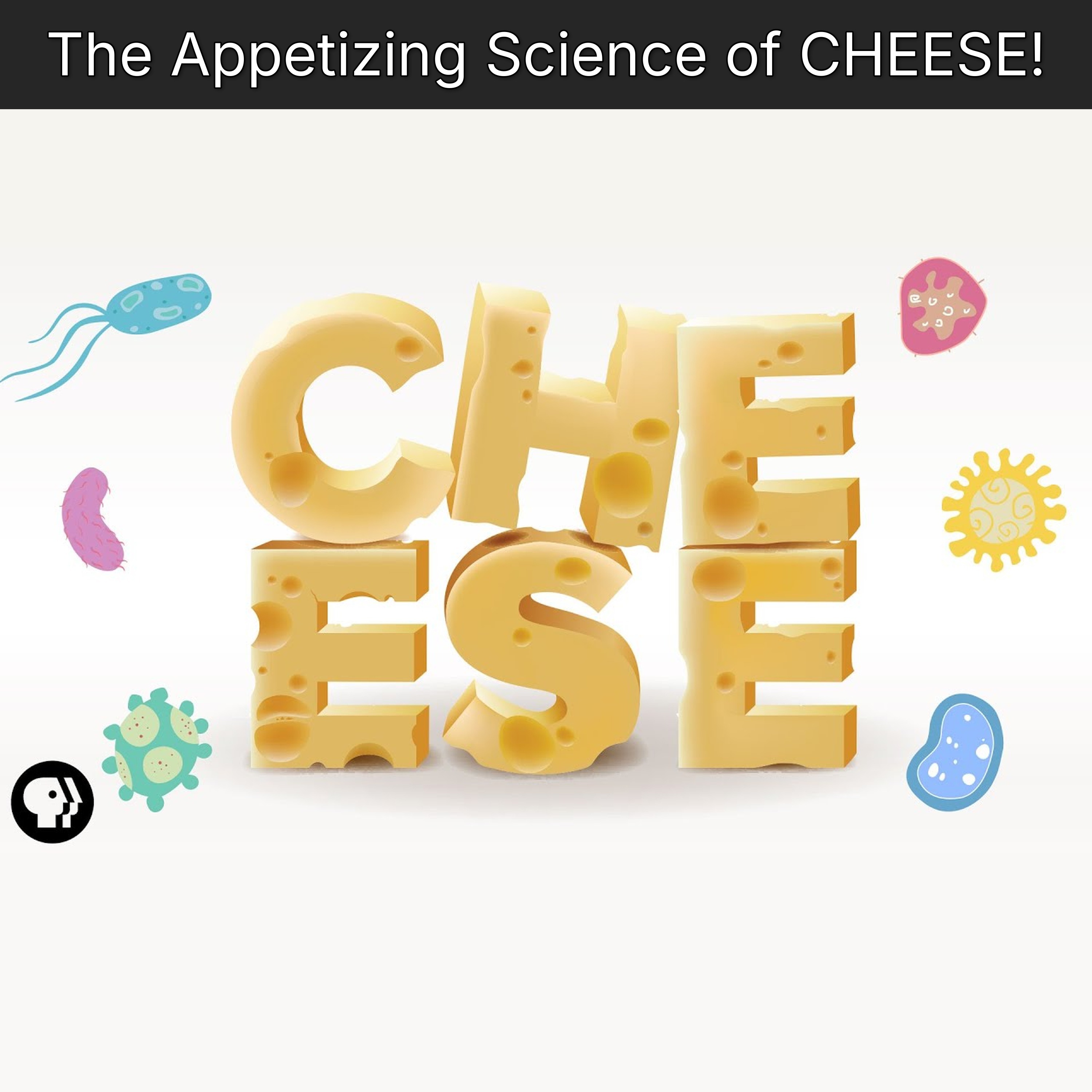 The Appetizing Science of CHEESE! episode artwork