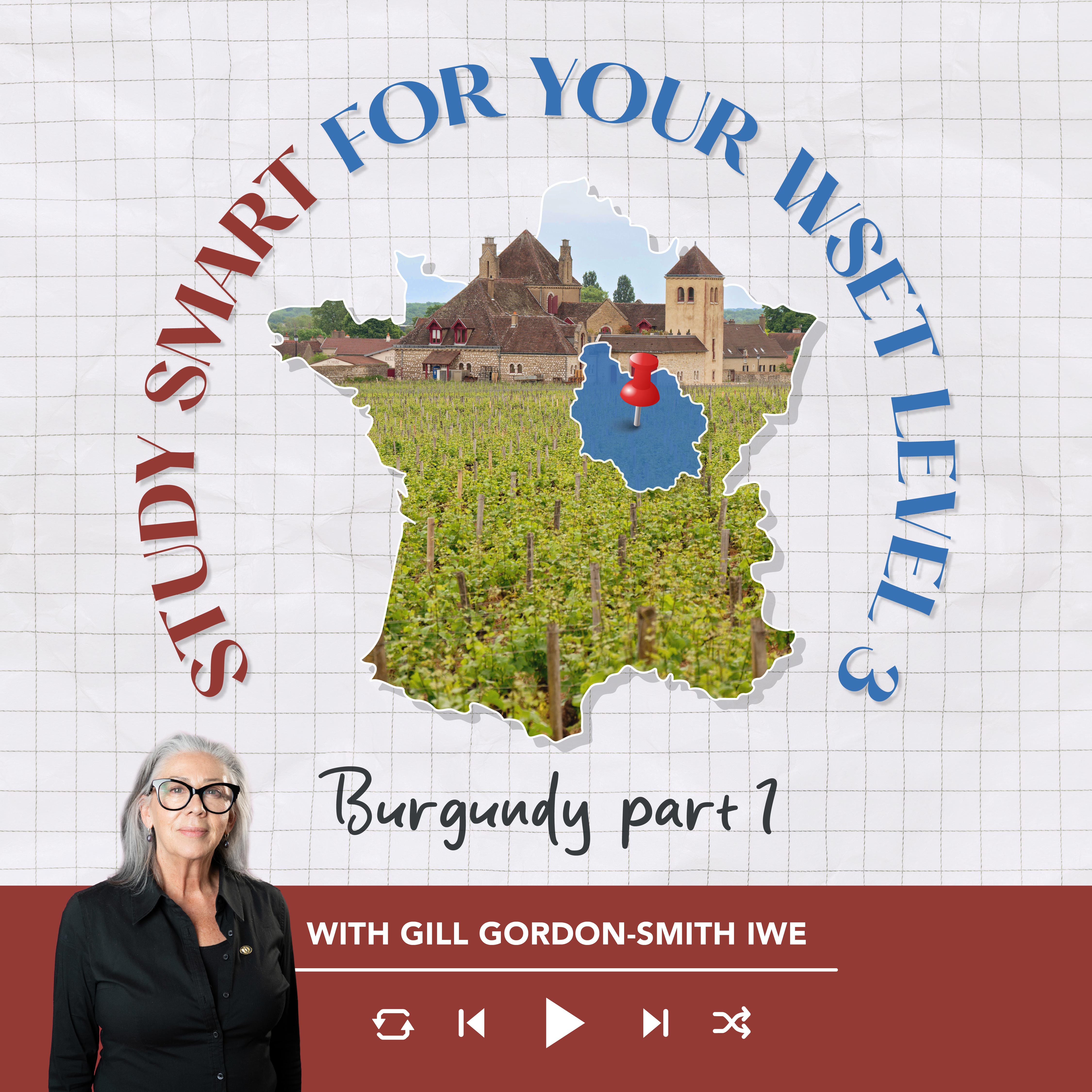 Ep. 5: Burgundy P1 - Overview and Chablis | Study Smart for your WSET Level 3