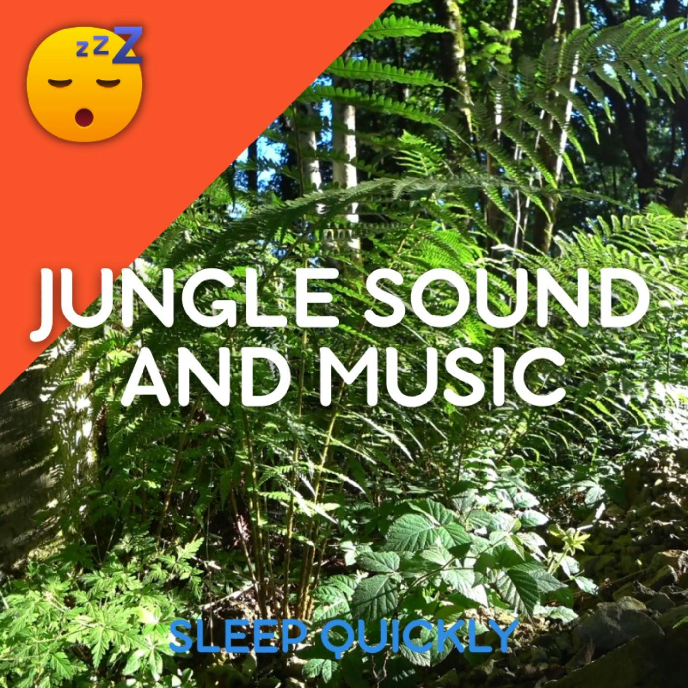 😴🍂🎵 JUNGLE Sound and MUSIC to Fall ASLEEP episode artwork