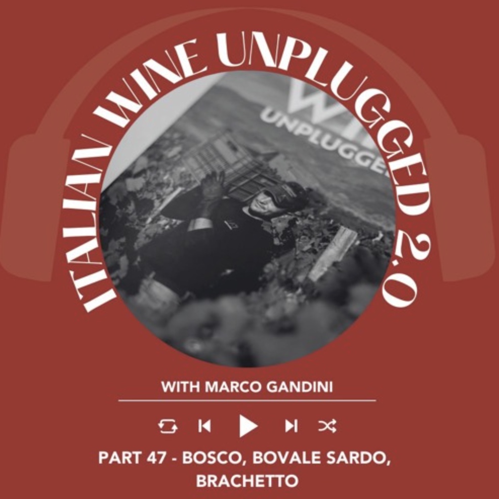 Marco Gandini Narrates Pt. 47 | Italian Wine Unplugged 2.0