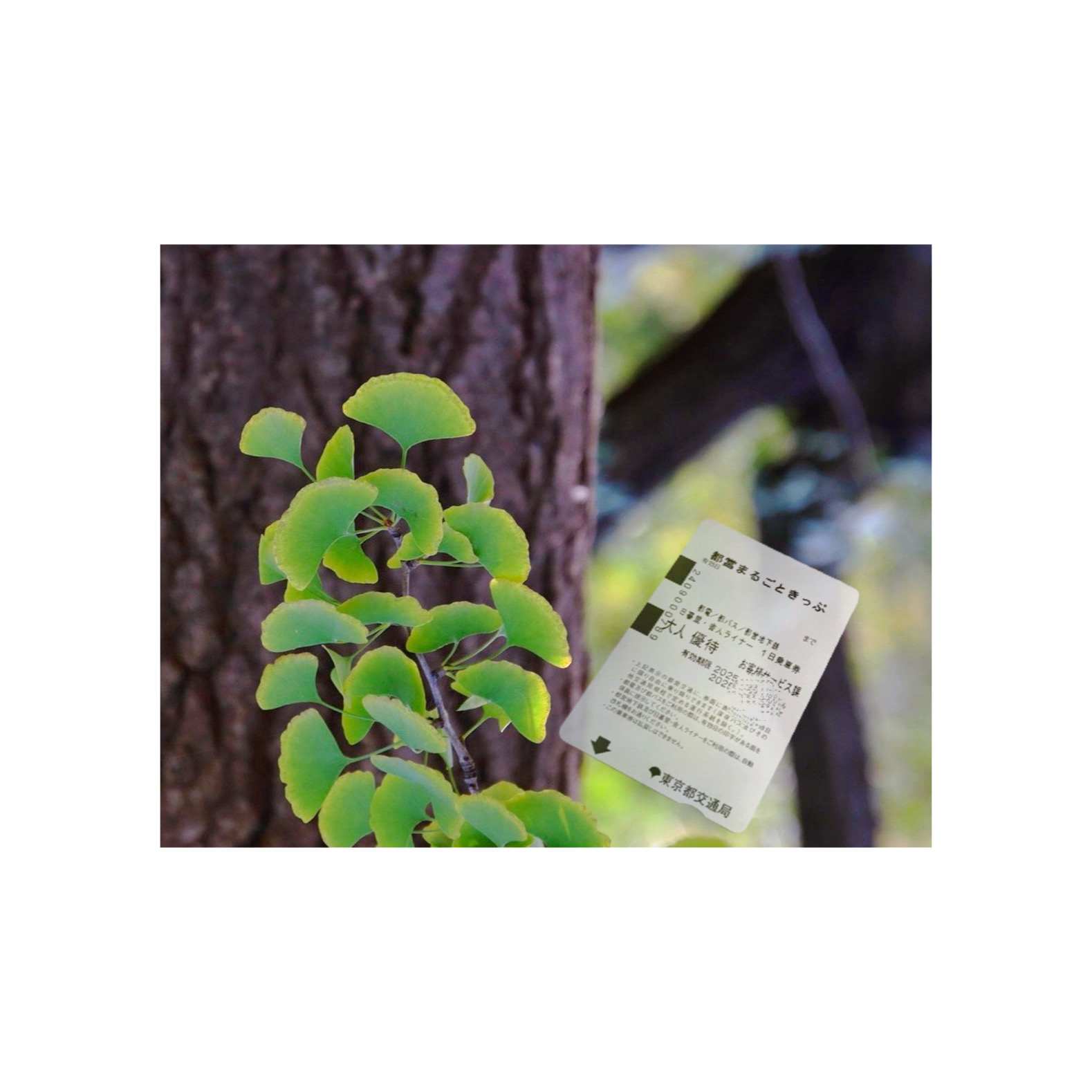 #677 ついに会いに行く