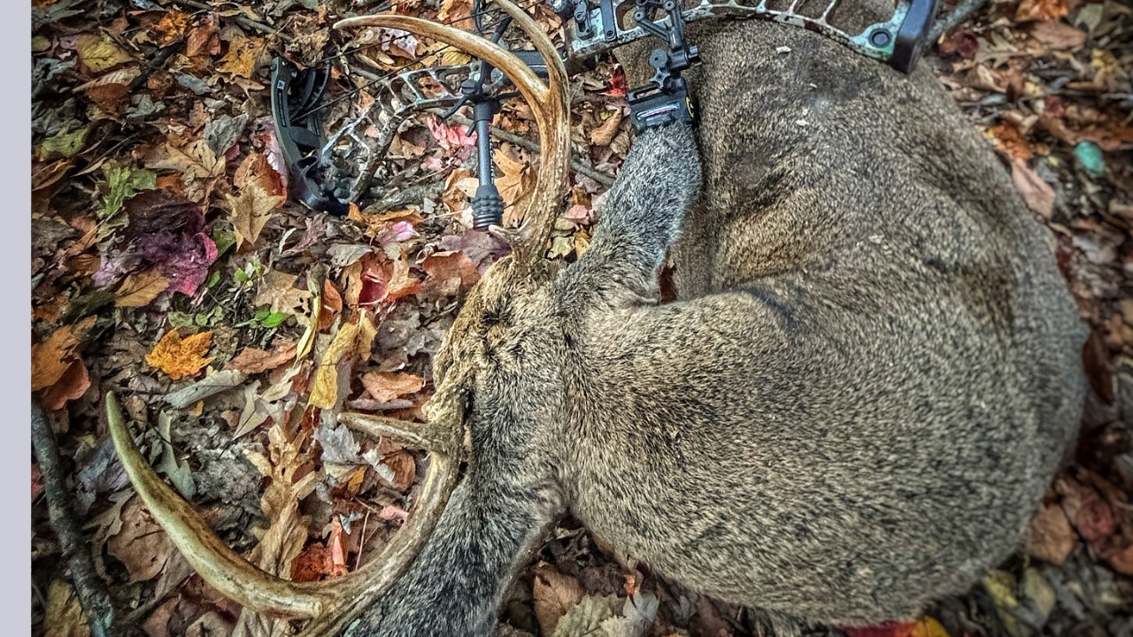 EP.473: Adapt or Go Home |Why Flexible Hunters Kill More Deer