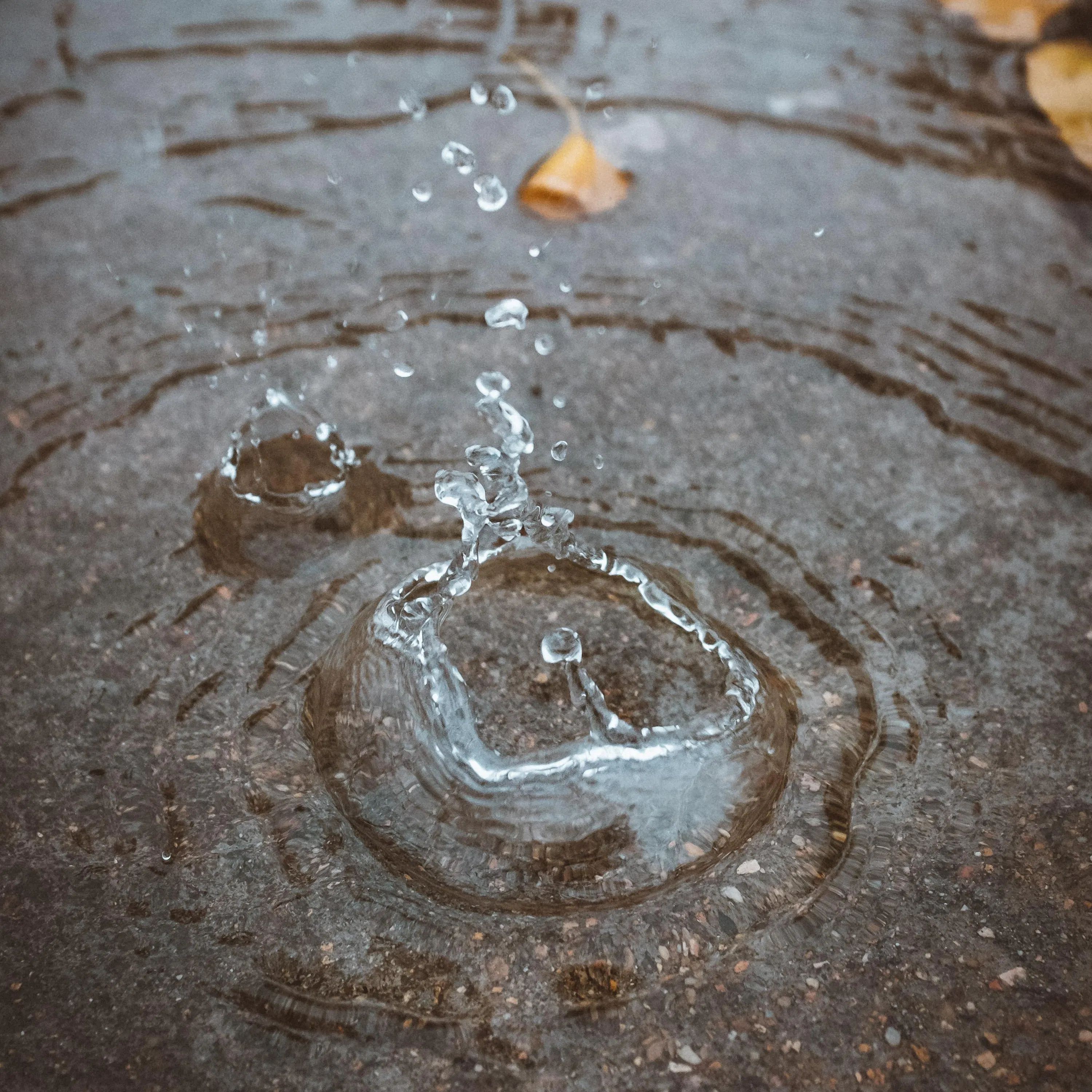 Rain Falling On Concrete: 8-Hour Tranquil Rain Soundscape for Relaxation, Studying & Sleep episode artwork