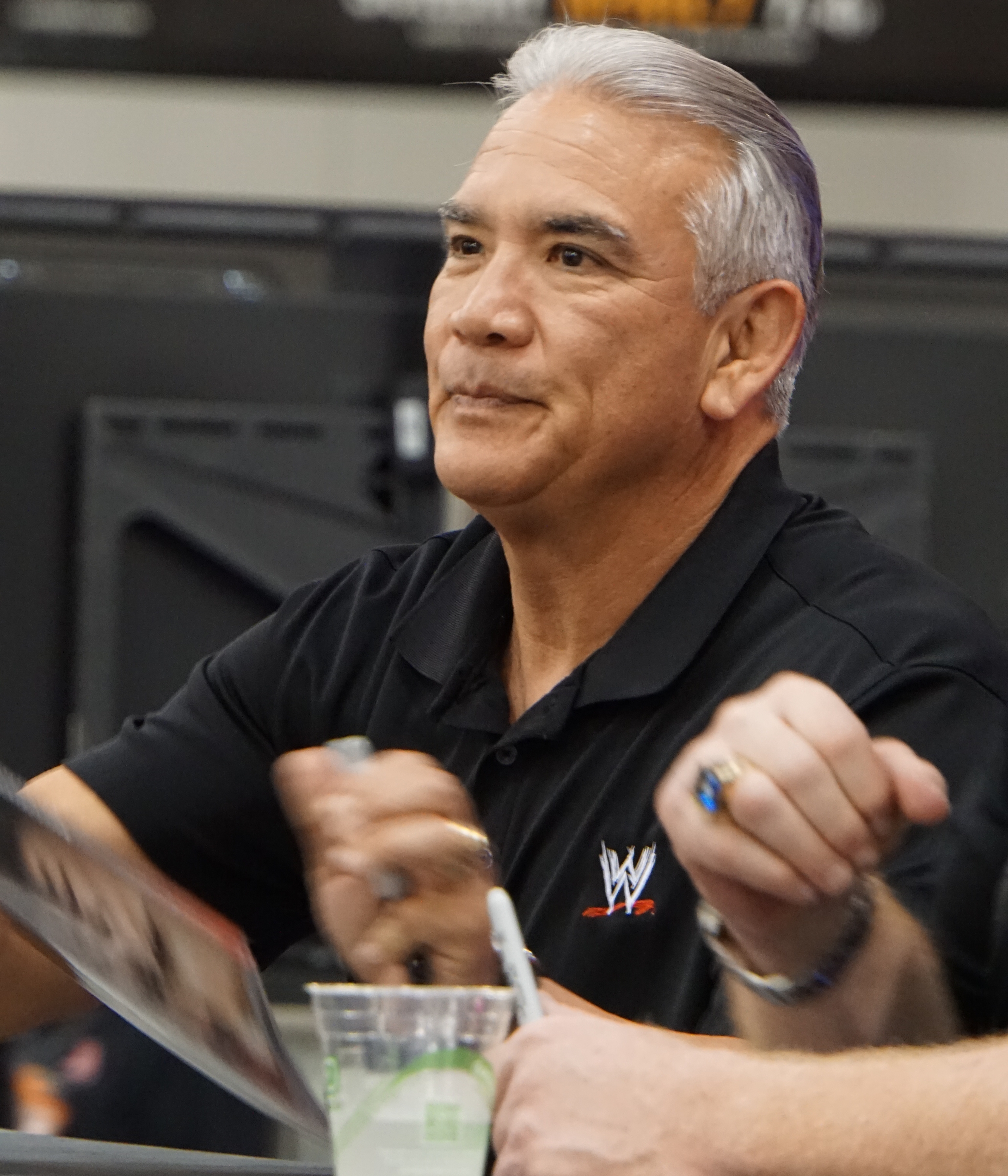 IN THE ROOM - Ricky "The Dragon" Steamboat interview episode artwork