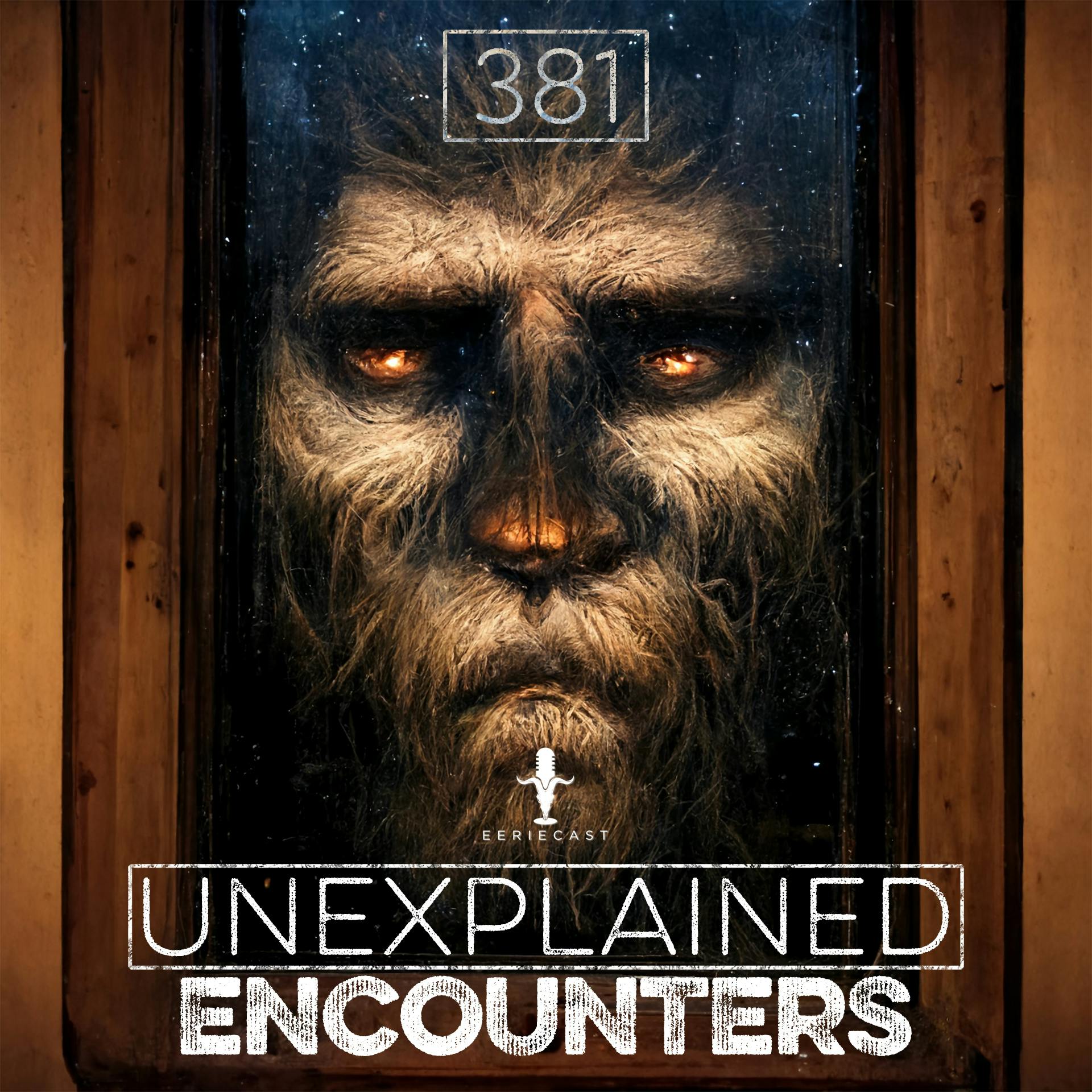 381 | Monsters Seen in the Deep Dark Woods and Other Disturbing Stories