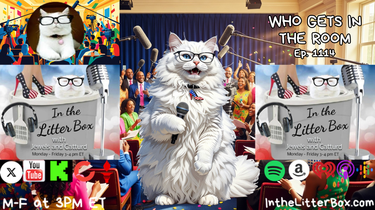 WHO GETS IN THE ROOM | In the Litter Box w/ Jewels & Catturd – Ep. 1114 – 10/13/2026 episode artwork
