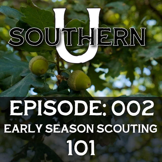Early Season Scouting 101 episode artwork