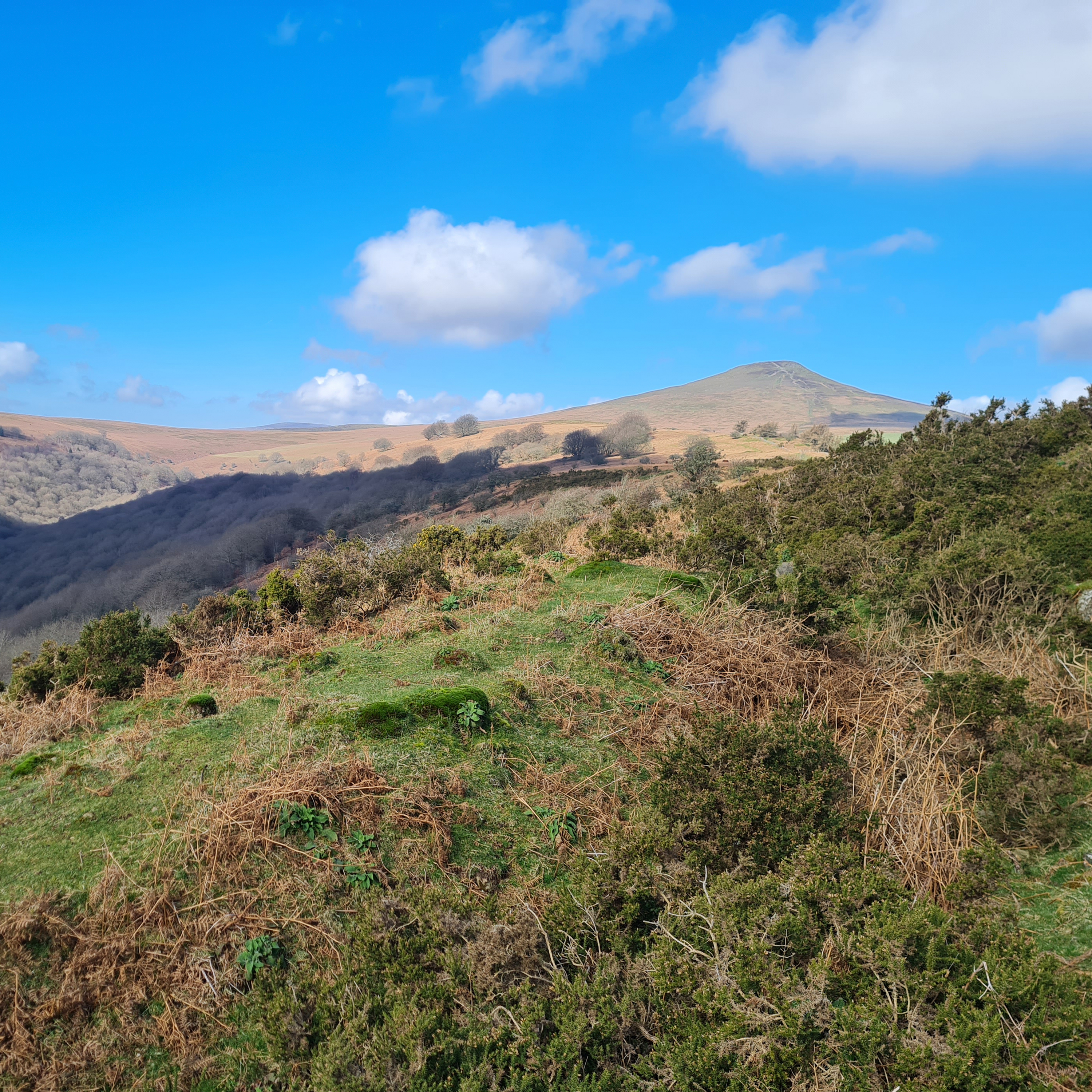 242. A quest to find spring wildlife on Sugar Loaf mountain