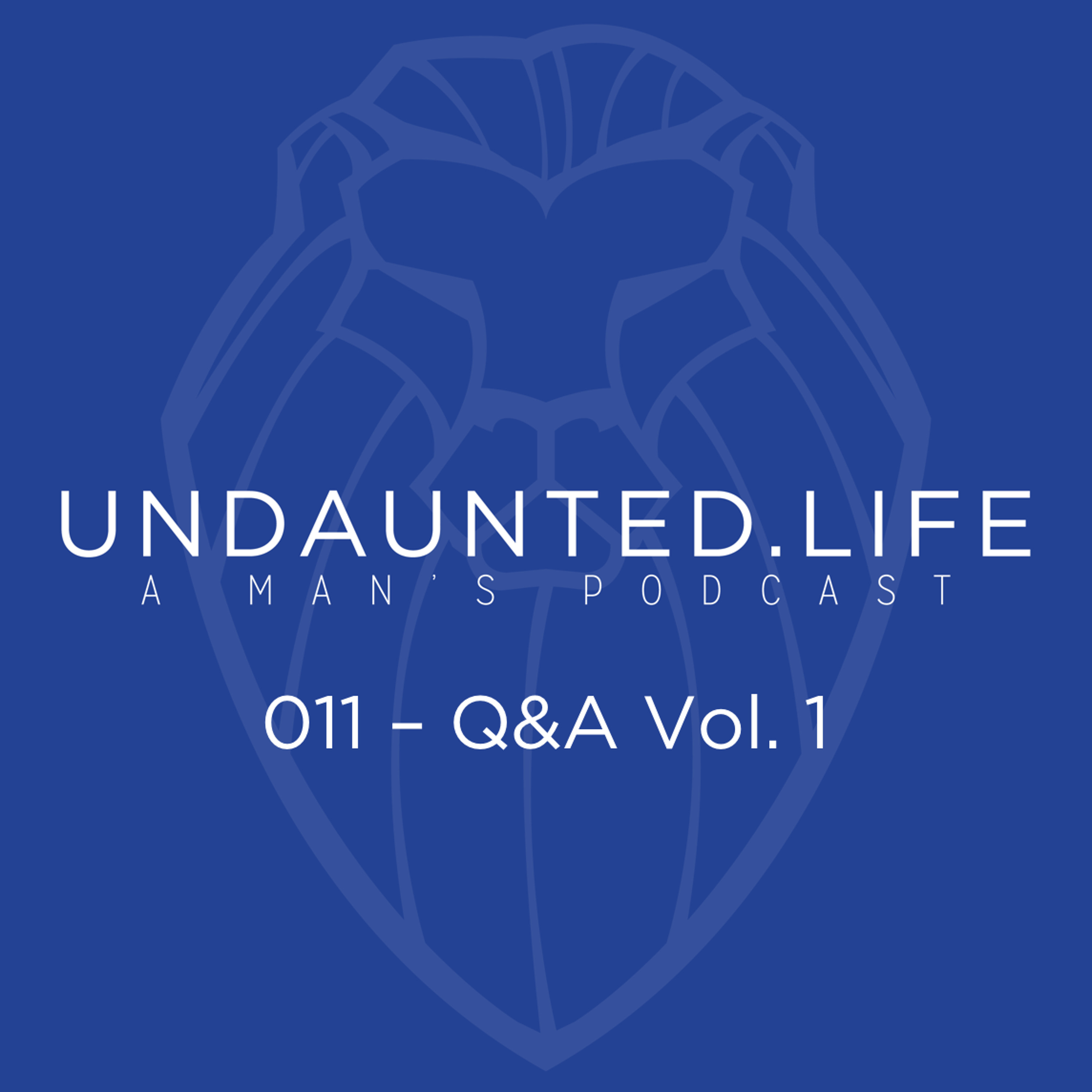 011 - Q&A Vol. 1