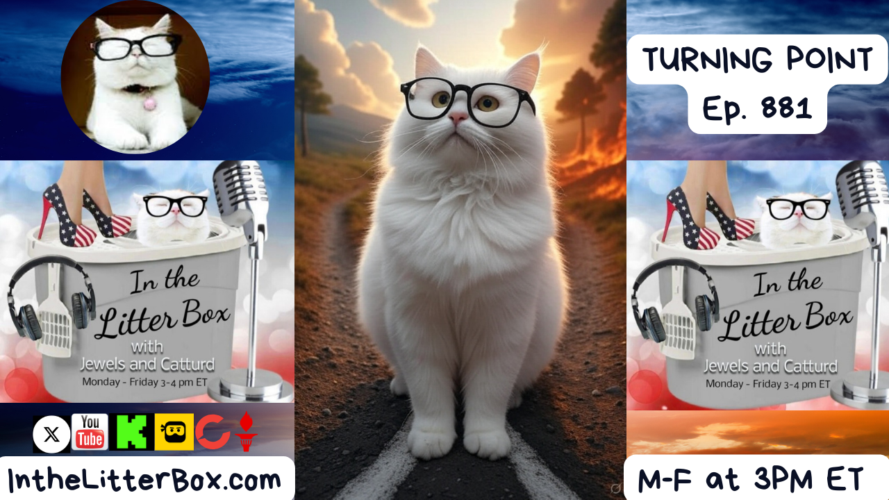 TURNING POINT | In the Litter Box w/ Jewels & Catturd – Ep. 881 9/15/2025