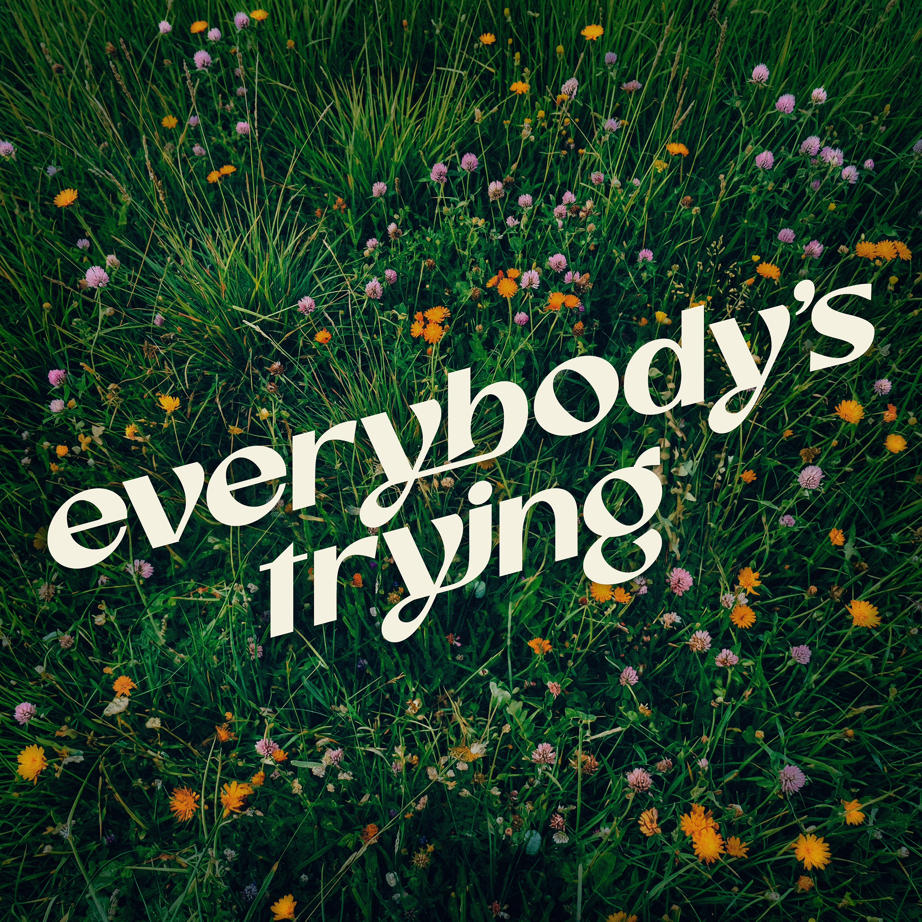 Everybody's Trying