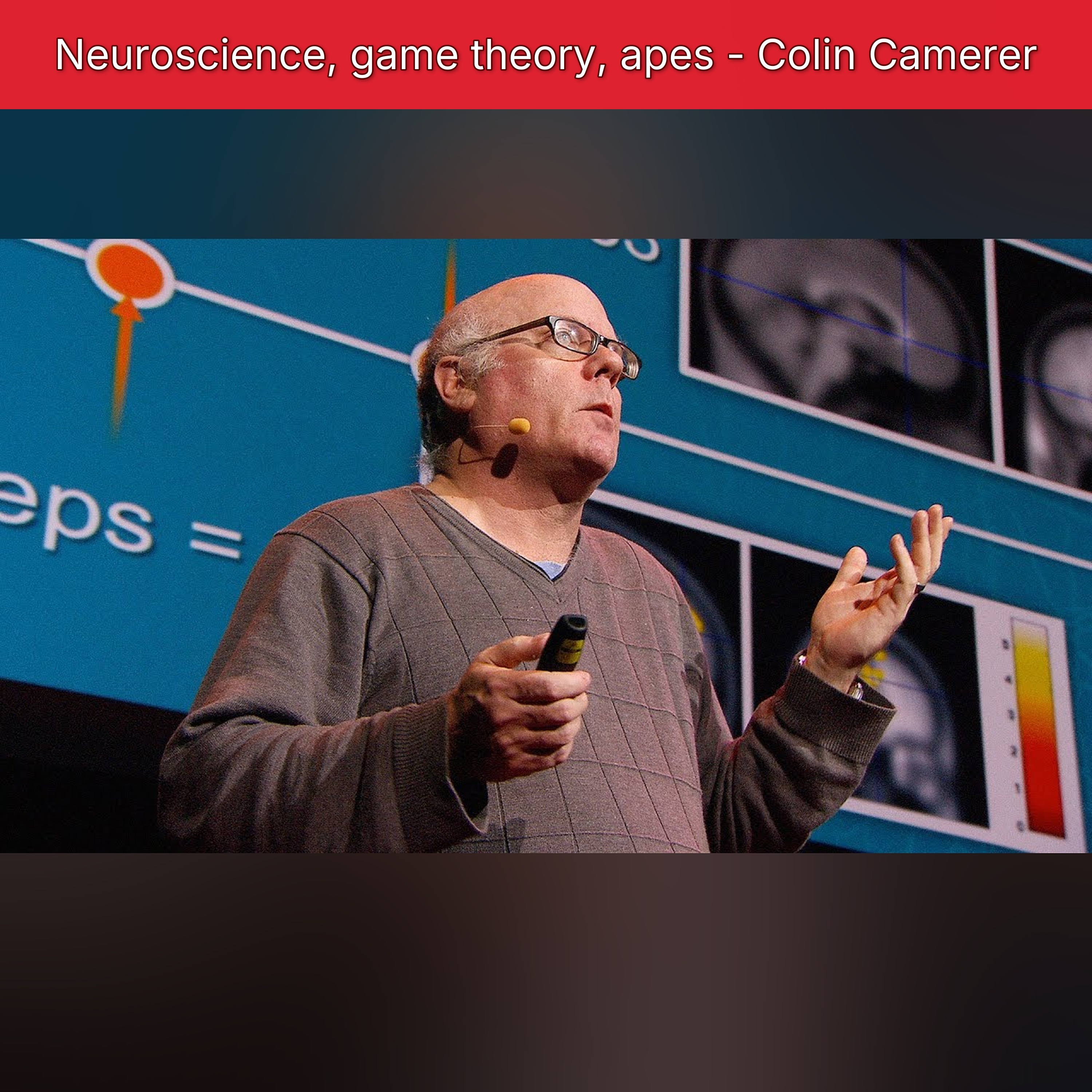 Neuroscience, game theory, apes - Colin Camerer episode artwork