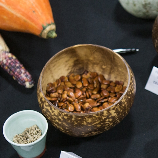 Excerpt from Matthew Dillon of Seed Matters at Bioneers 2012