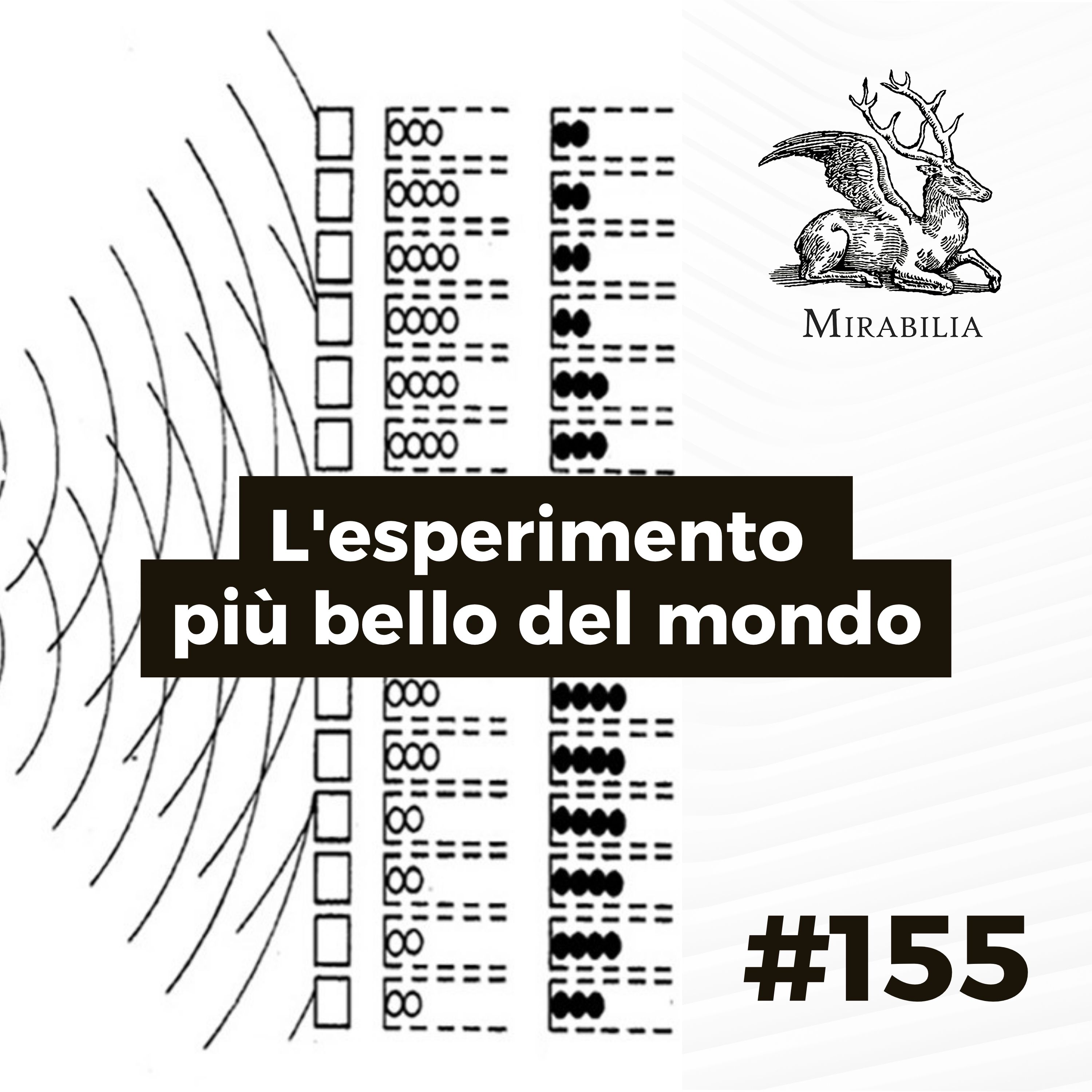 155. L'esperimento più bello del mondo