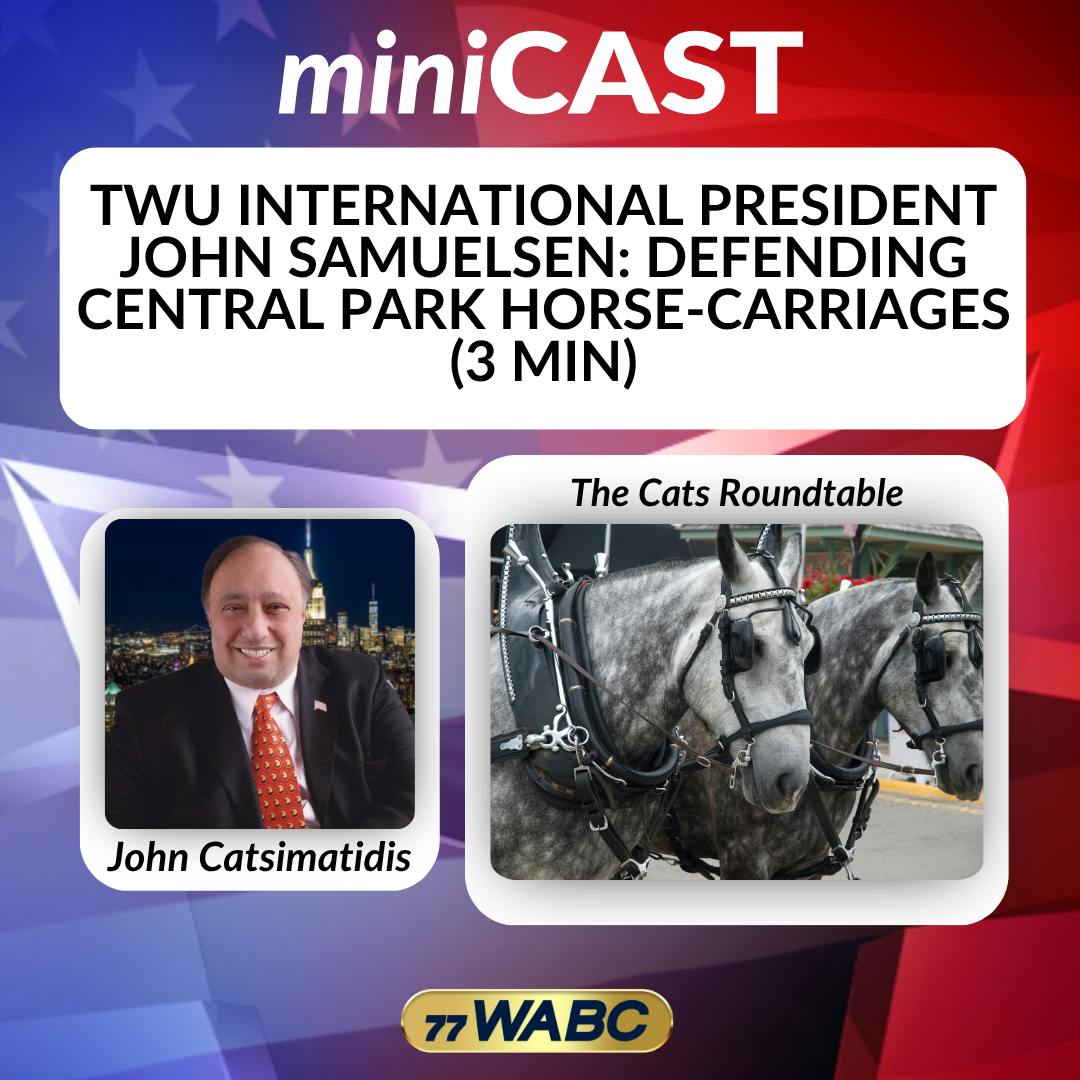 TWU International President John Samuelsen: Defending Central Park Horse-Carriages (3 min) TWU International President John Samuelsen: Defending Central Park Horse-Carriages (3 min)