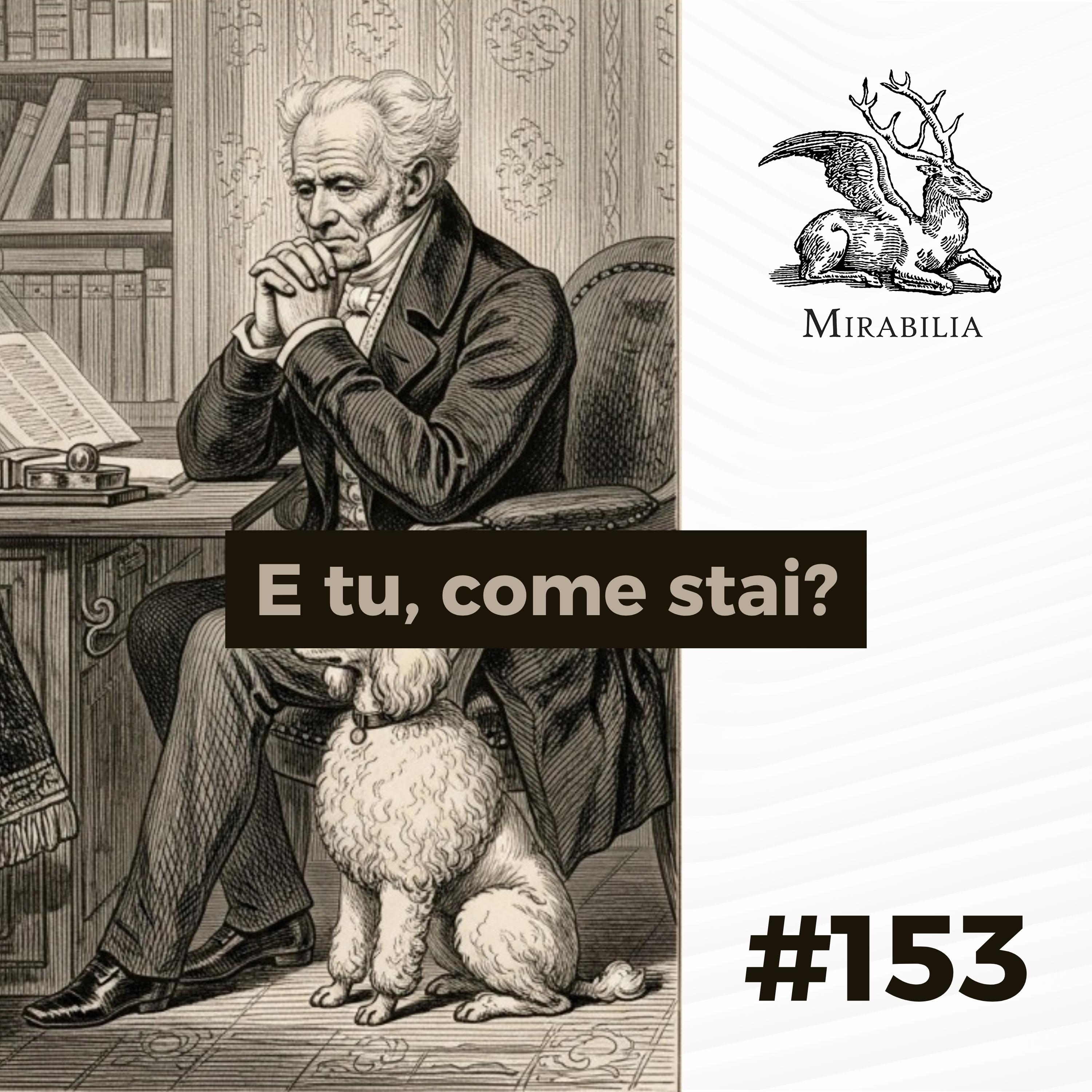 153. E tu, come stai?