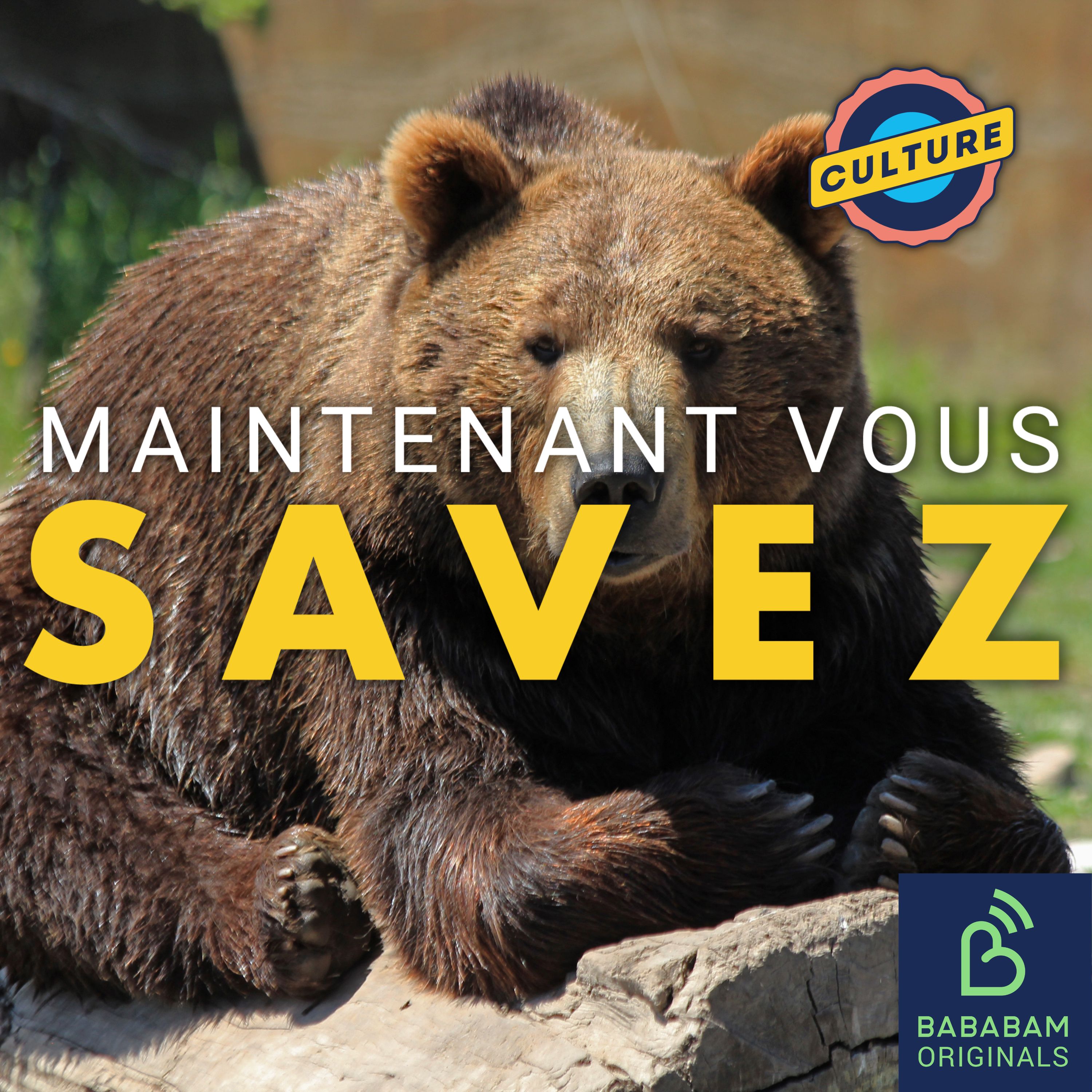 Quelle est la véritable histoire de Crazy Bear, l’ours cocaïné ?