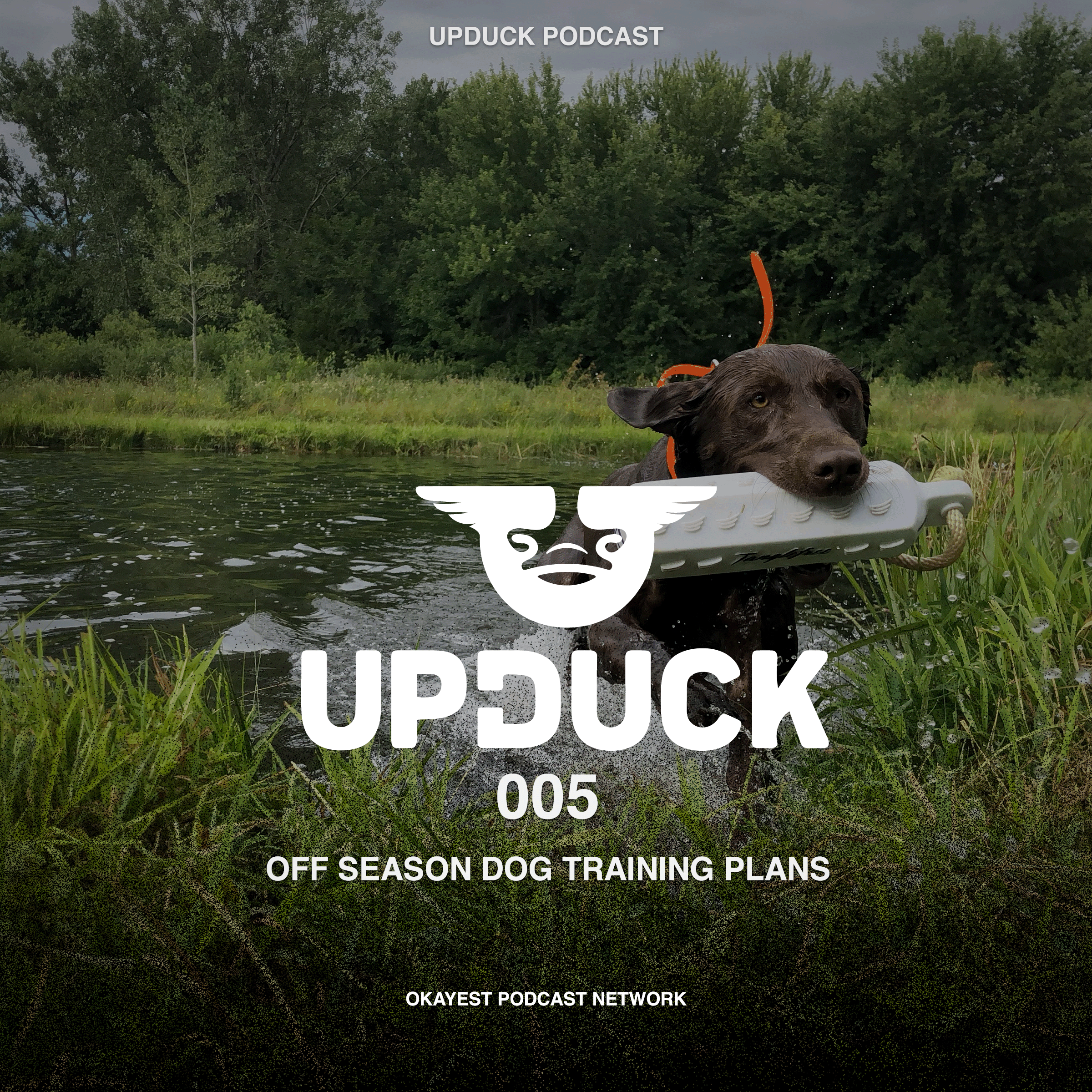 Off Season Dog Training Plans episode artwork