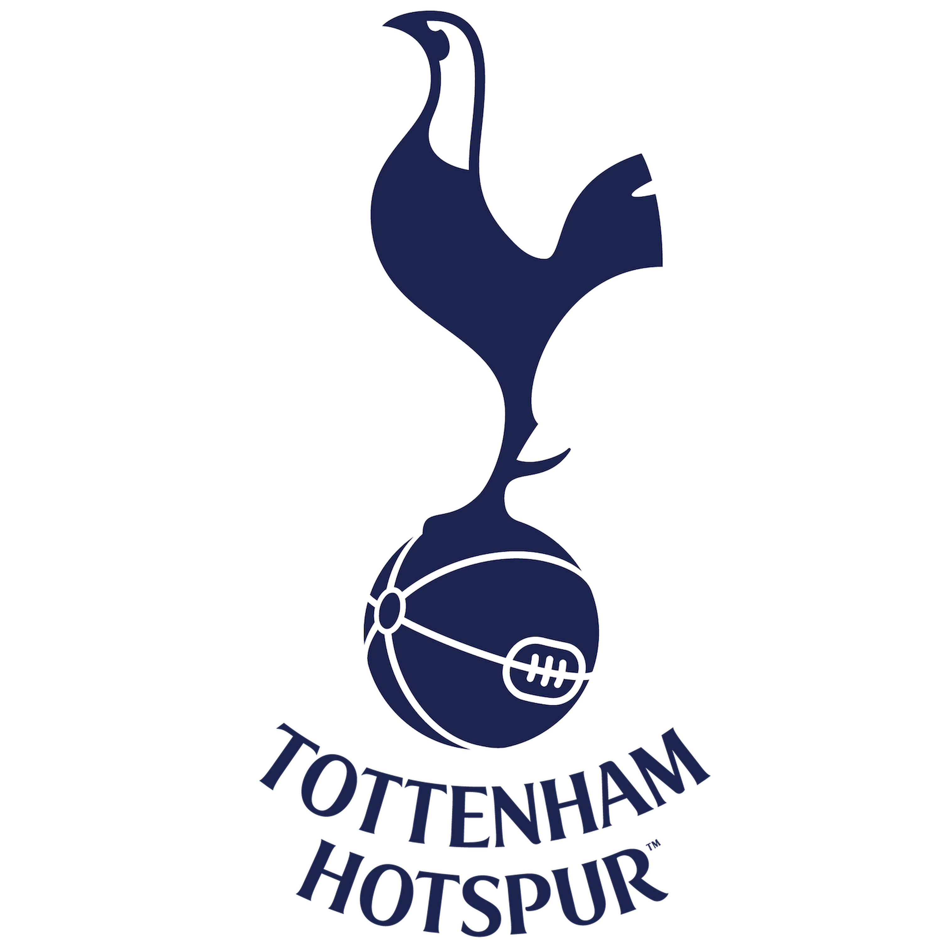 Spurs - The Greatest Goals Of All Time