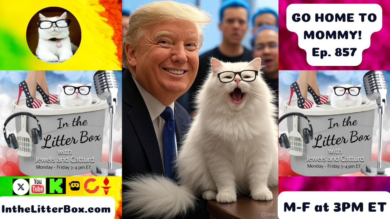 GO HOME TO MOMMY! | In the Litter Box w/ Jewels & Catturd – Ep. 857 – 8/6/2025