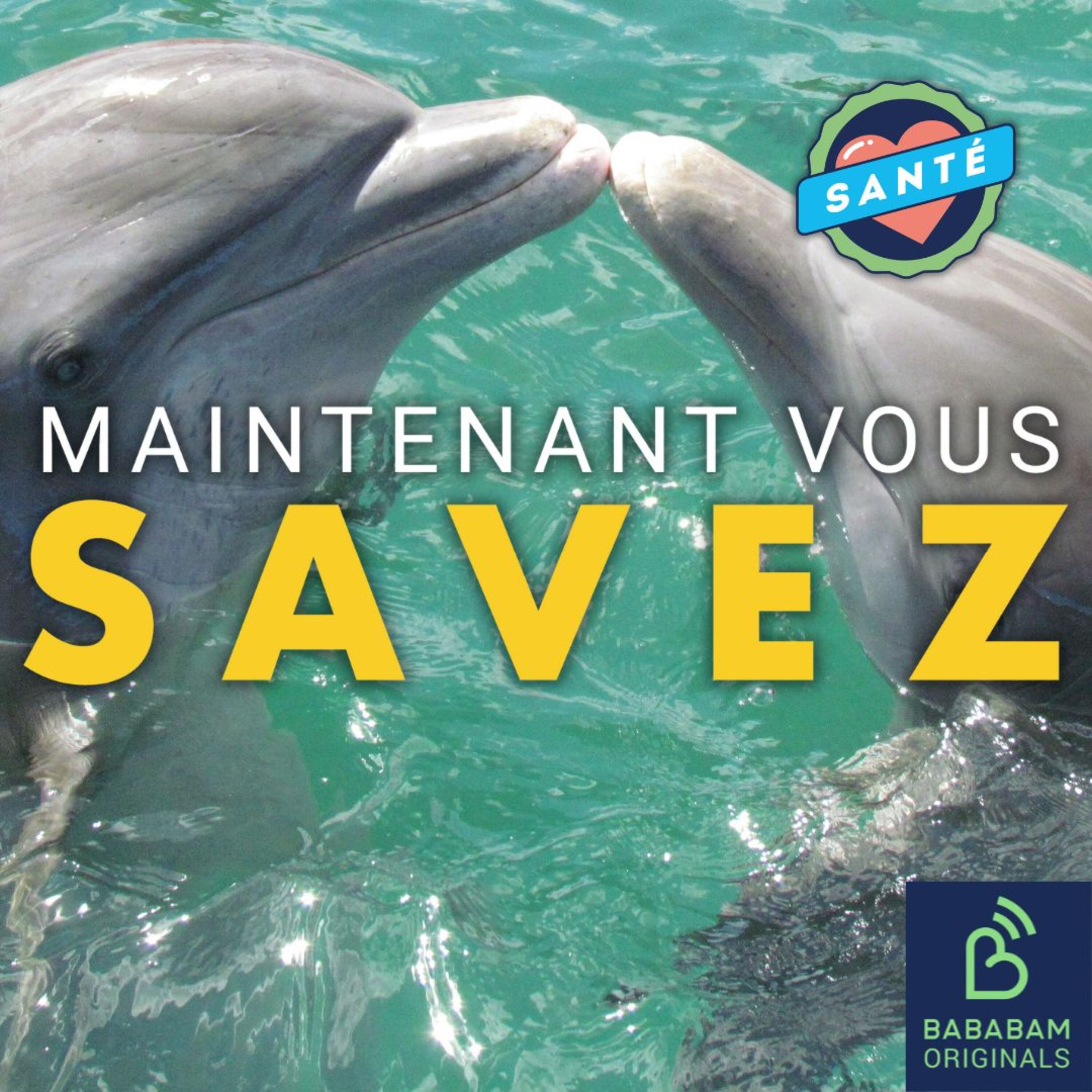 Pourquoi s’embrasse-t-on ?