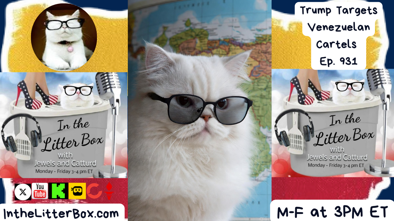 Trump Targets Venezuelan Cartels | In the Litter Box w/ Jewels & Catturd – Ep. 931 – 12/4/2025