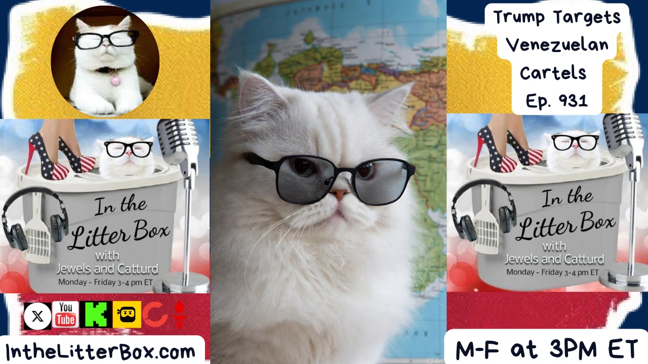 Trump Targets Venezuelan Cartels | In the Litter Box w/ Jewels & Catturd – Ep. 931 – 12/4/2025 Trump Targets Venezuelan Cartels | In the Litter Box w/ Jewels & Catturd – Ep. 931 – 12/4/2025