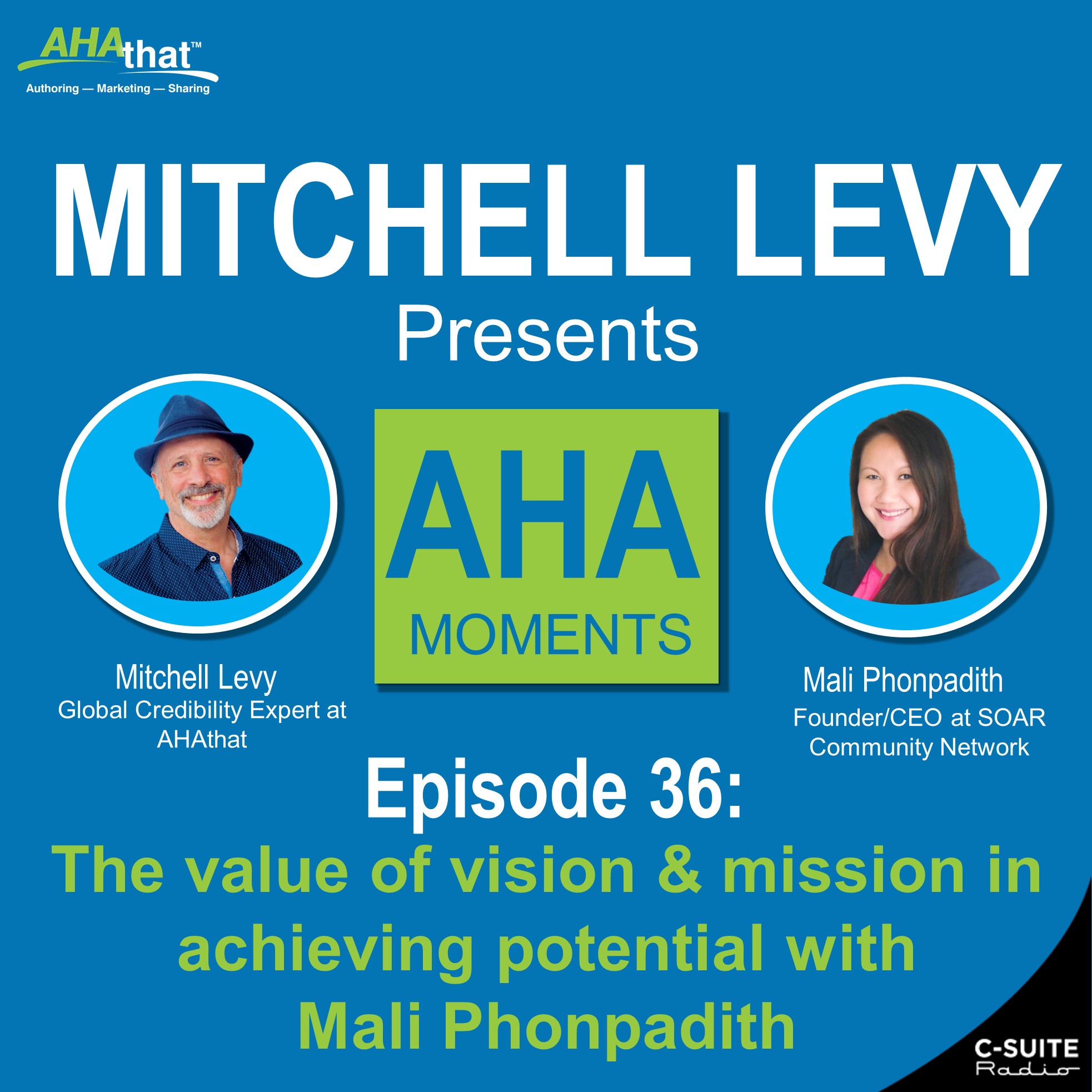 Mitchell Levy Presents AHA Moments