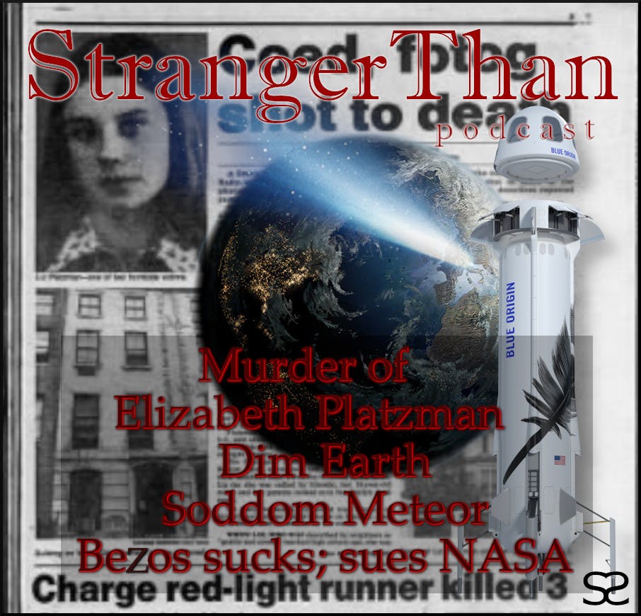 Platzman Murder/Space Stories