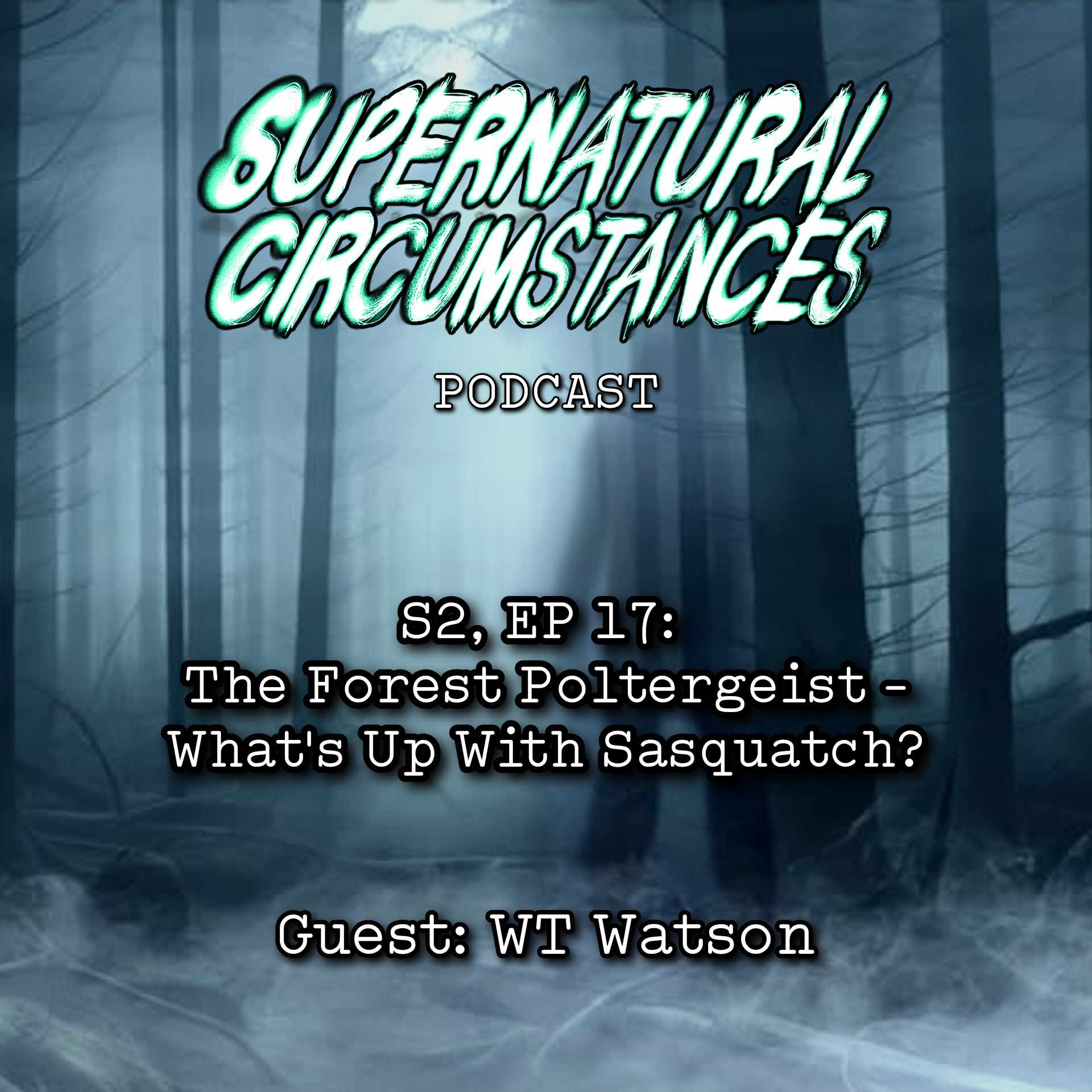 The Forest Poltergeist - What's Up With Sasquatch? episode artwork