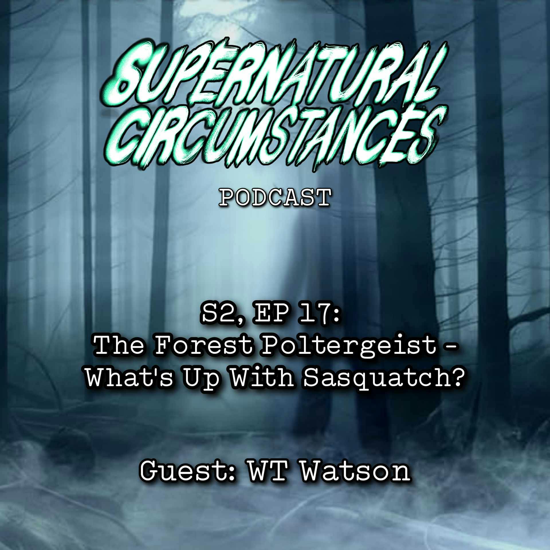 The Forest Poltergeist - What's Up With Sasquatch?