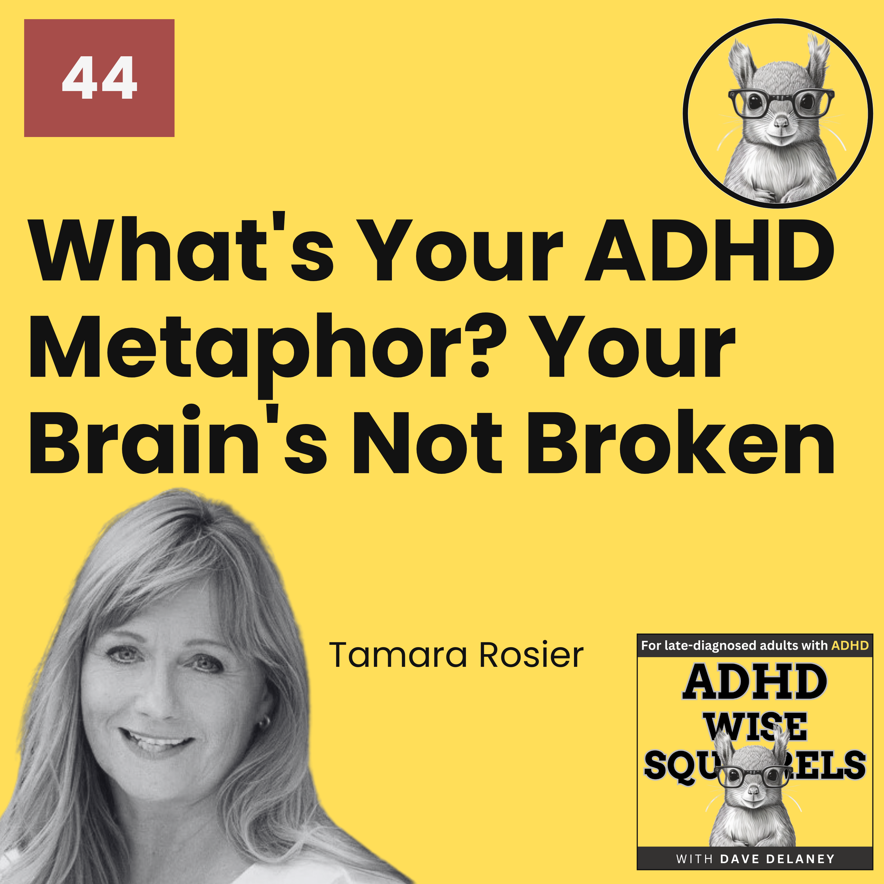 ADHD Wise Squirrels for late-diagnosed adults with ADHD.