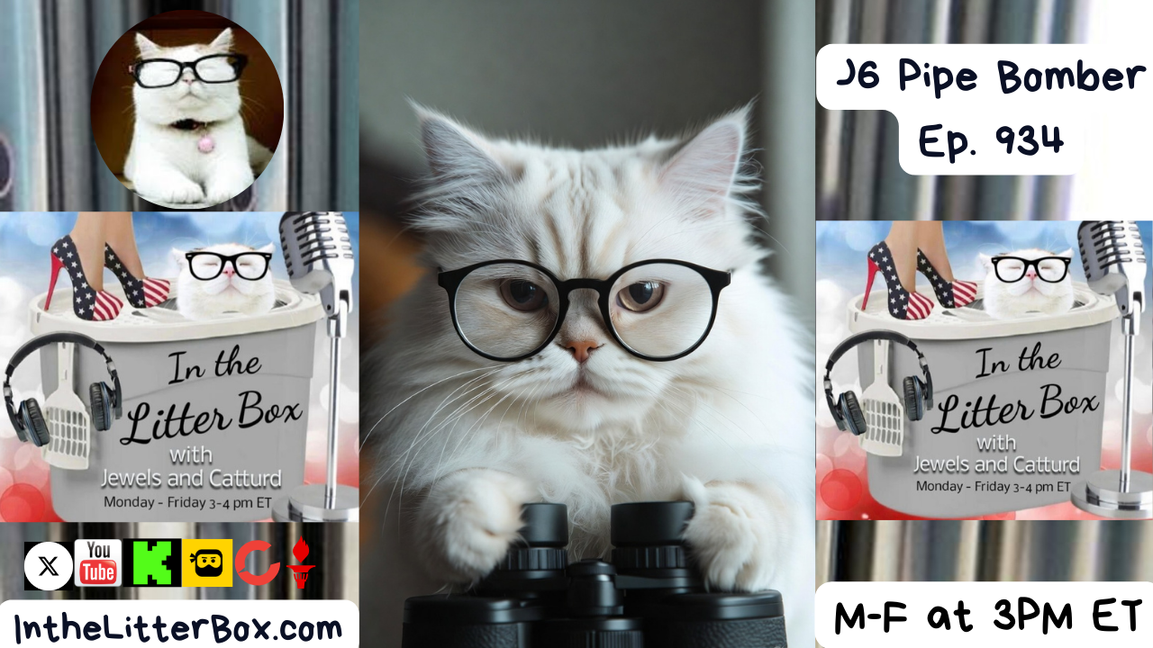 J6 Pipe Bomber | In the Litter Box w/ Jewels & Catturd – Ep. 934 – 12/9/2025