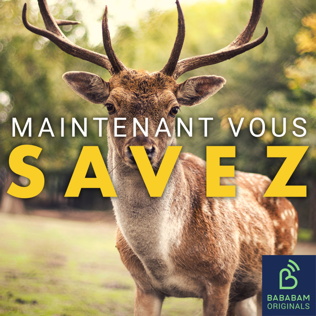 Qu’est-ce que l’effet Bambi ?