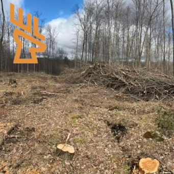 Whitetail Landscapes - Seed Selection, Deer Eating Mushrooms, Bad Forestry, Trees to Harvest, Better Soils, Regeneration, Wattles