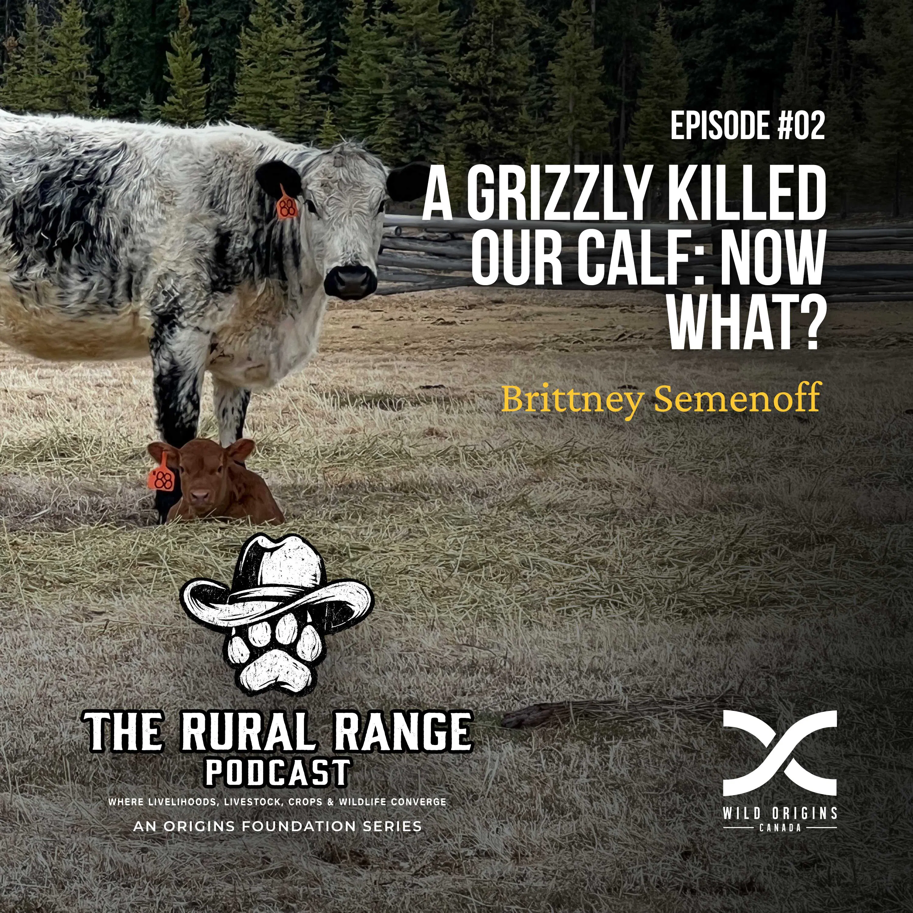 A Grizzly Killed Our Calf: Now What? || Rural Range Podcast || Ep. 2 episode artwork