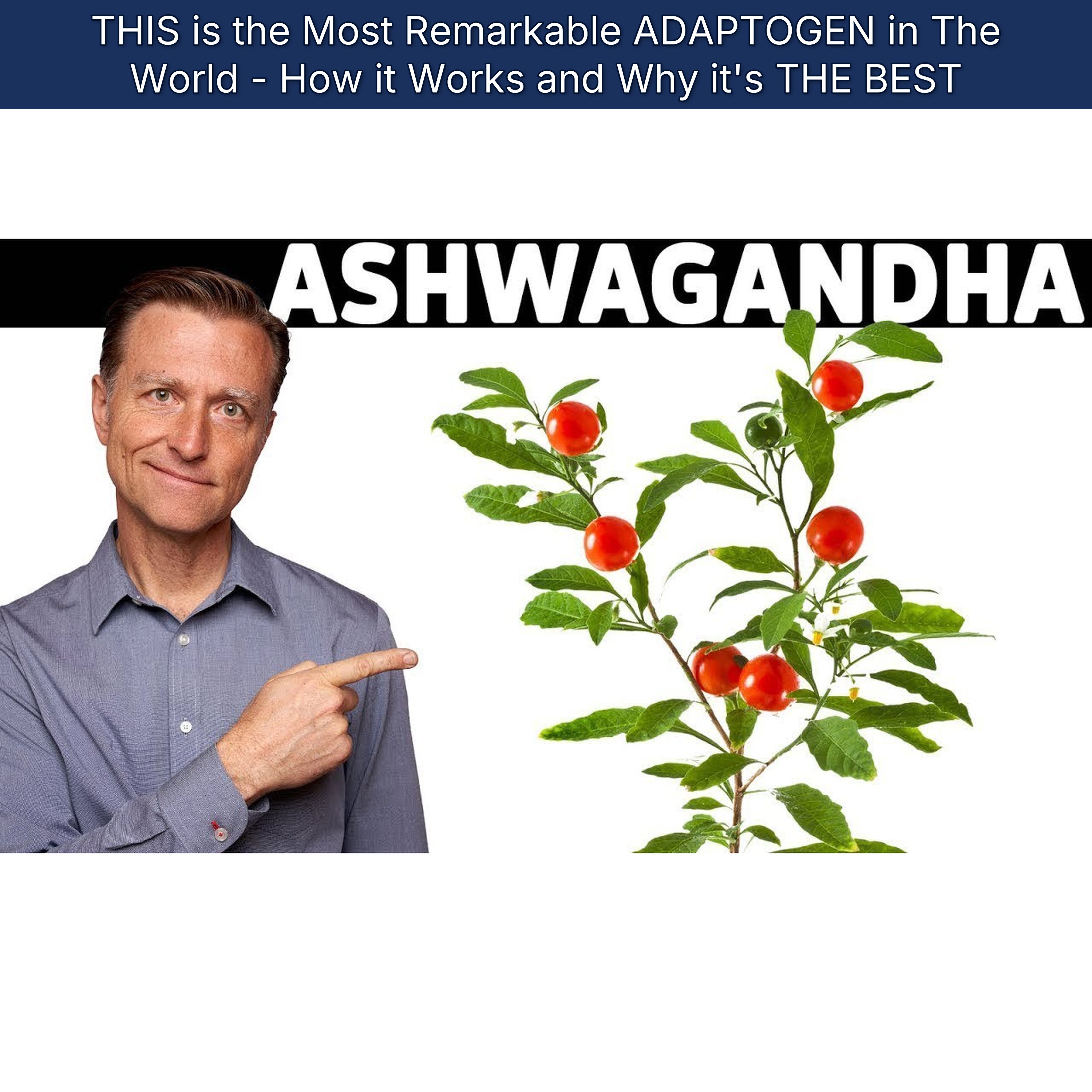 THIS is the Most Remarkable ADAPTOGEN in The World - How it Works and Why it's THE BEST