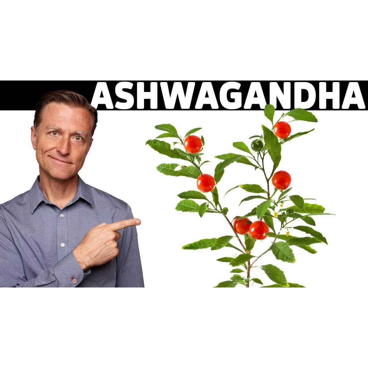 THIS is the Most Powerful ADAPTOGEN in The World - How it Works and Why it's THE BEST